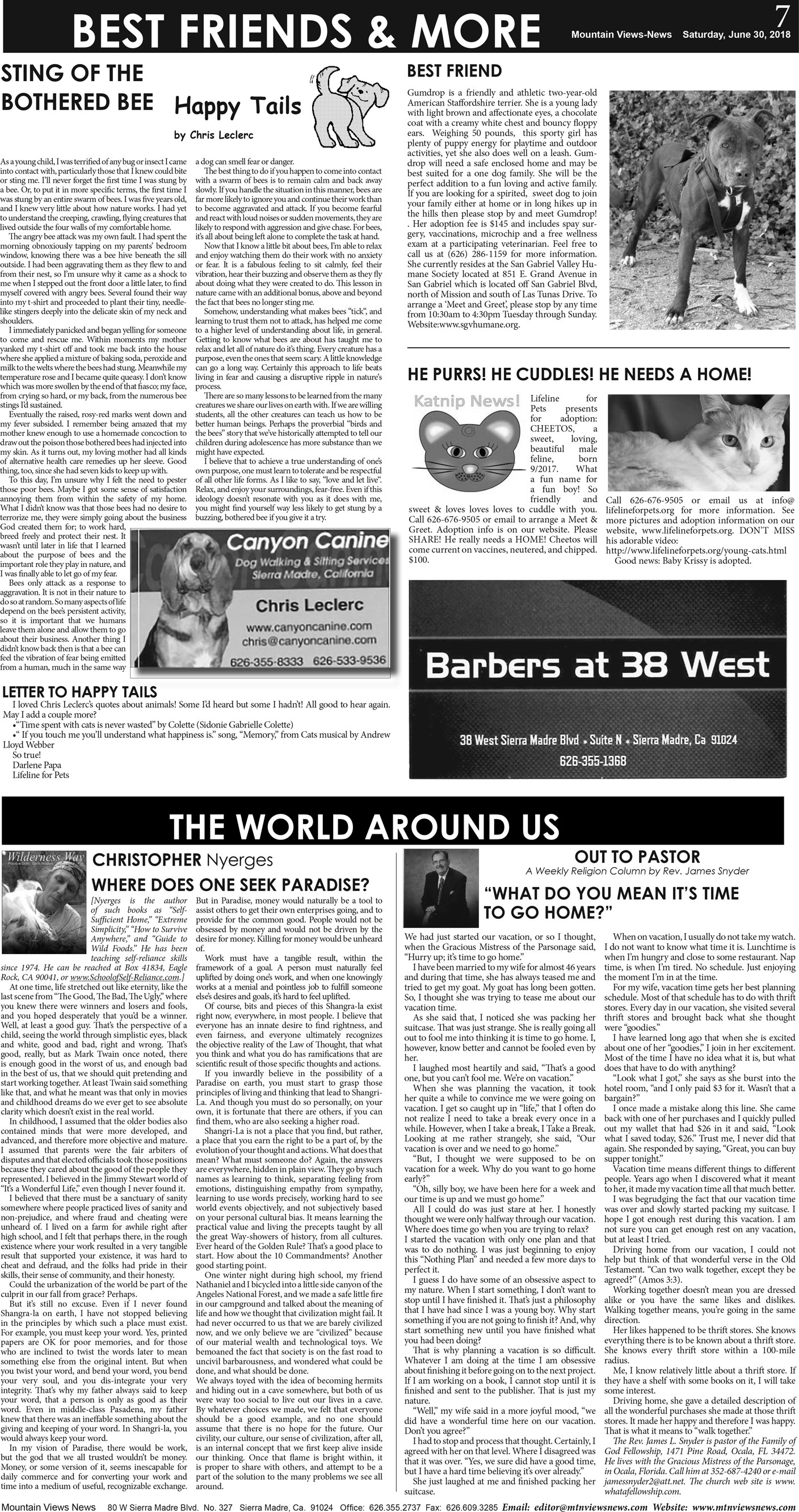 MVNews this week:  Page A:7