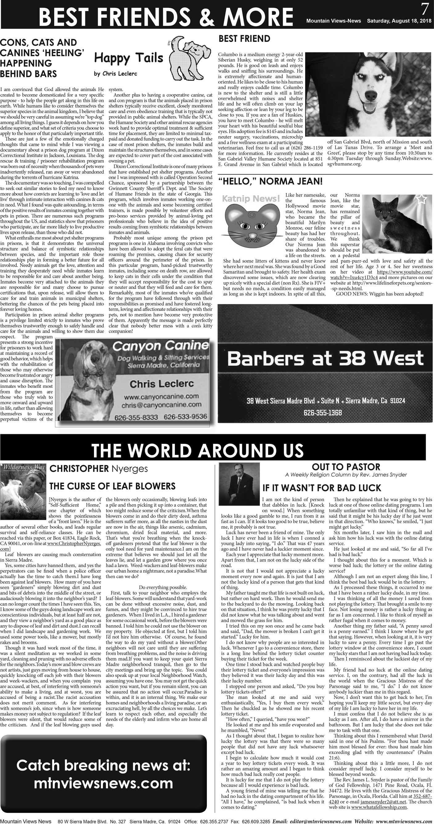 MVNews this week:  Page A:7