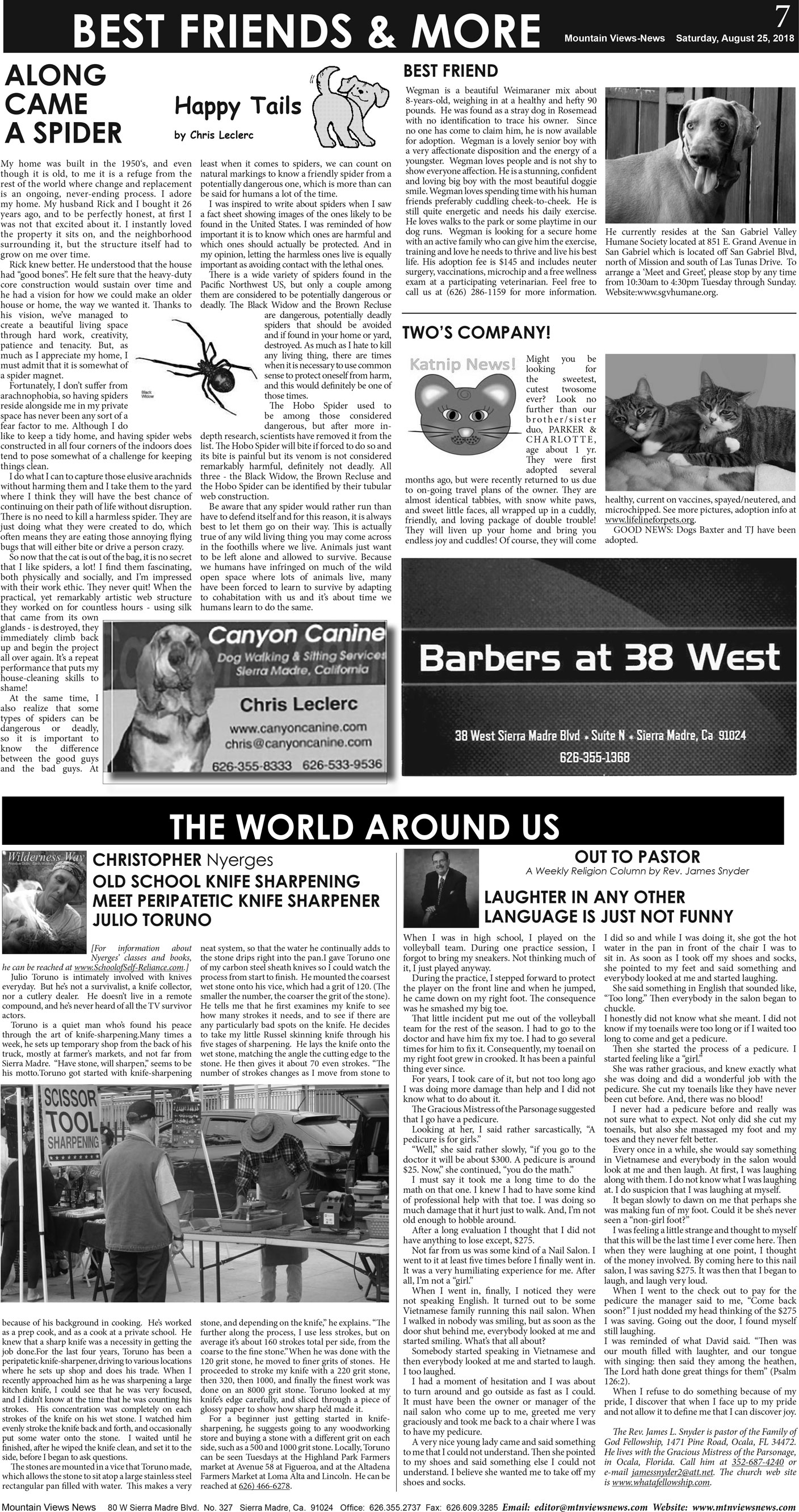 MVNews this week:  Page A:7
