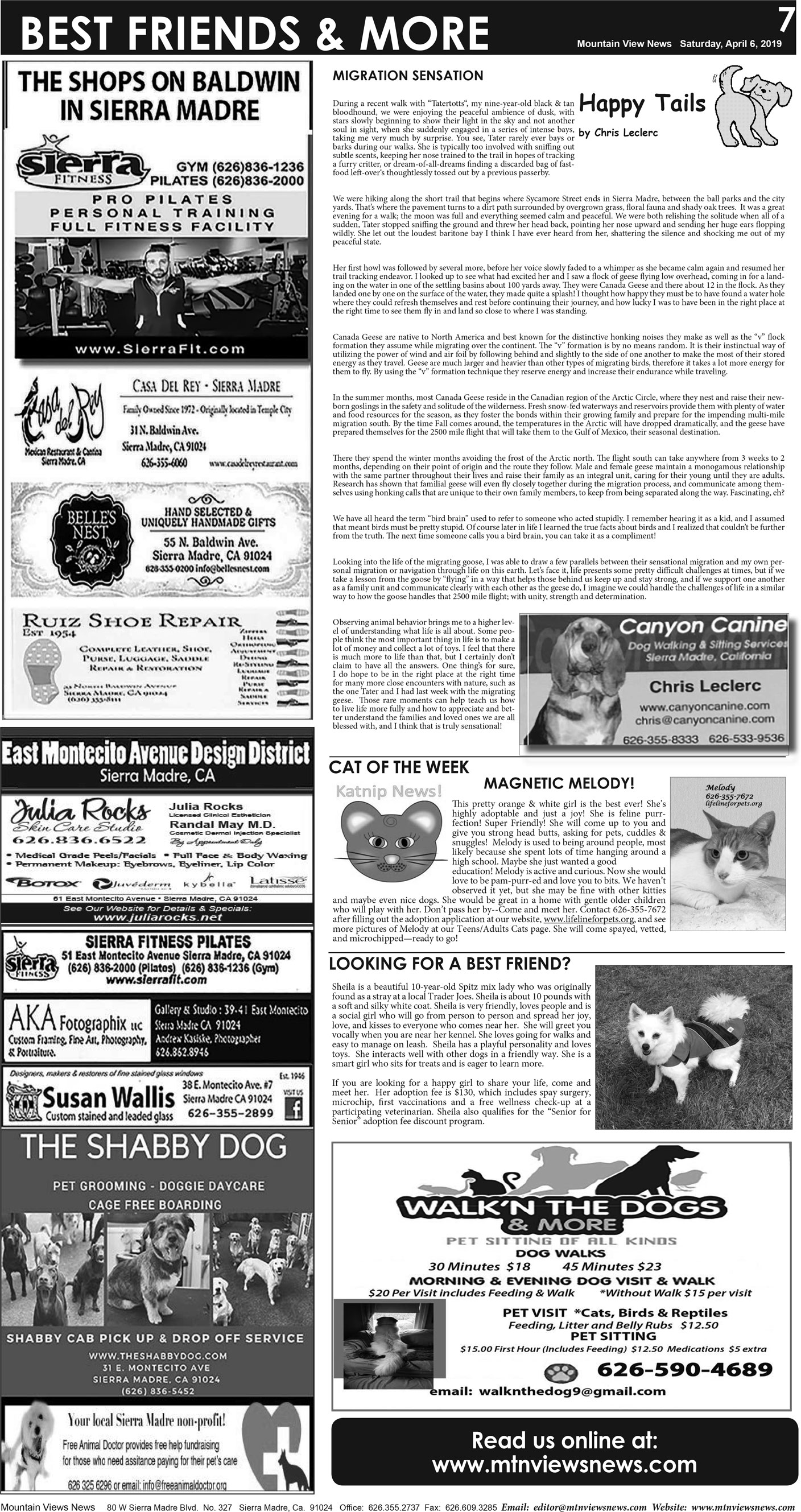 MVNews this week:  Page A:7