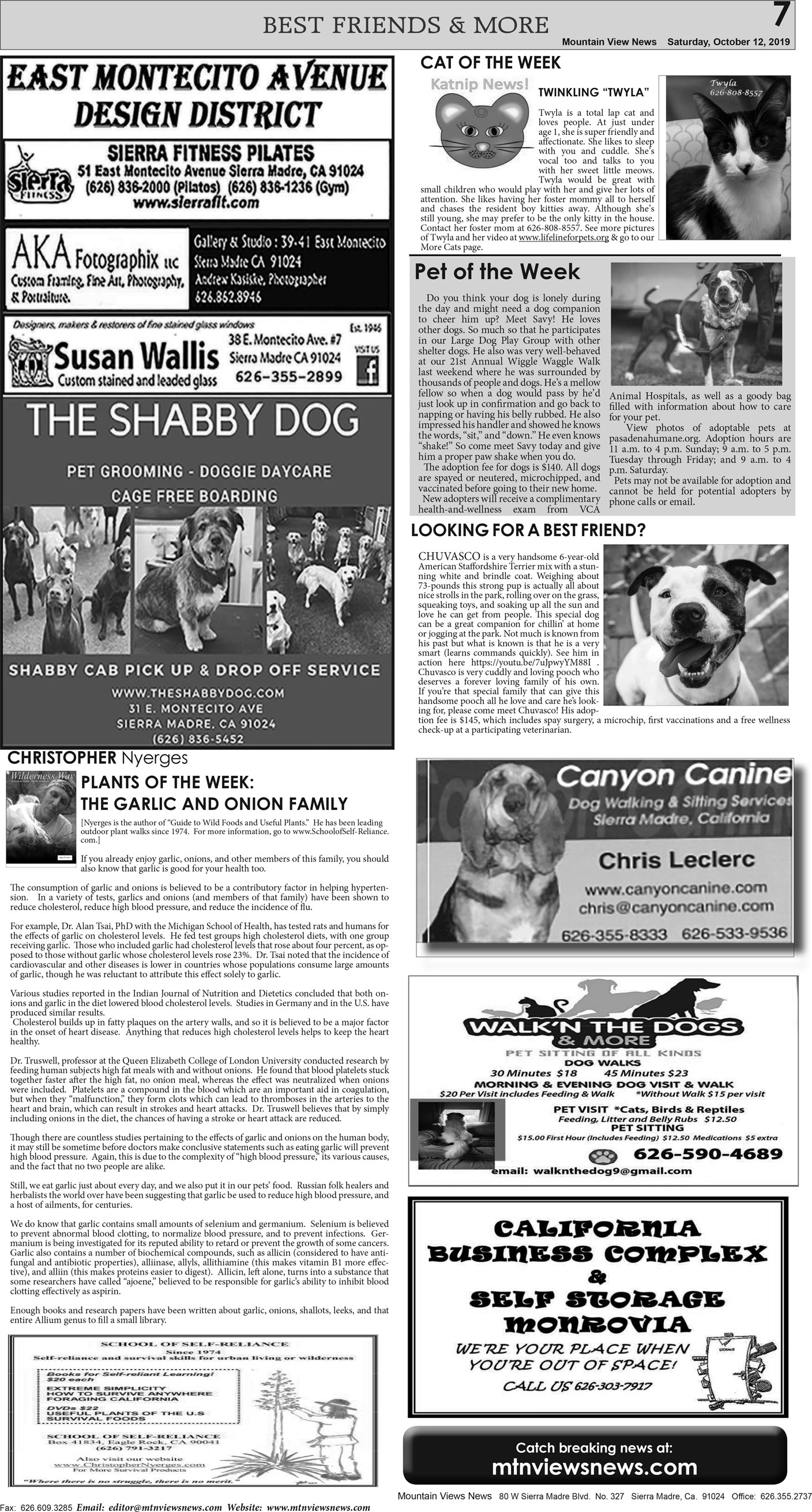 MVNews this week:  Page 7