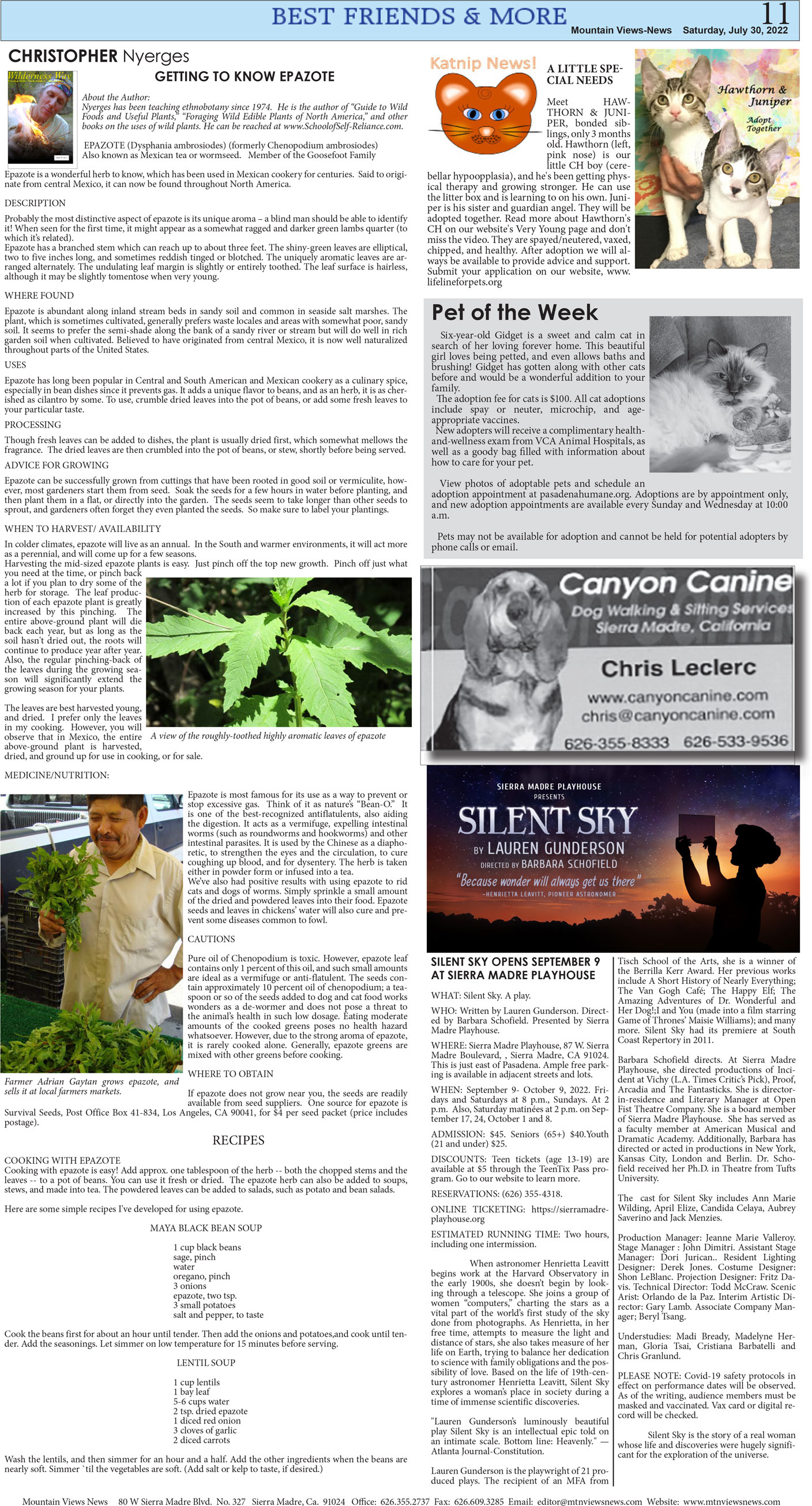 MVNews this week:  Page 11