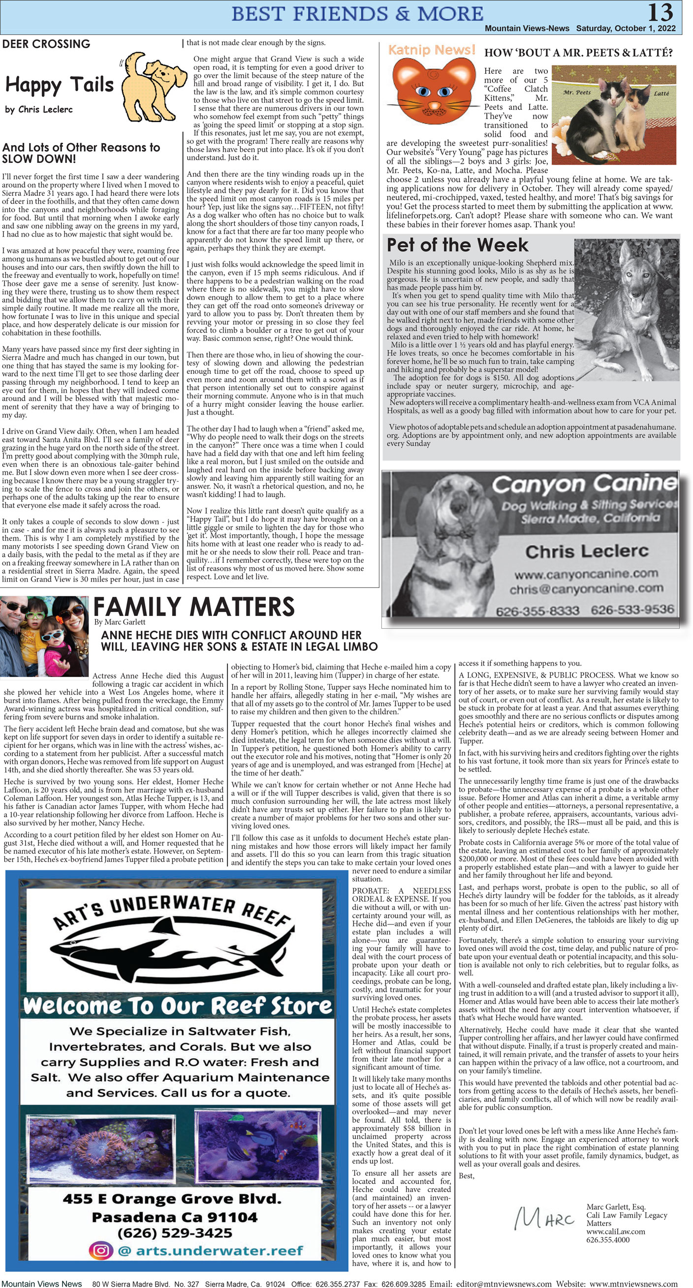 MVNews this week:  Page 13