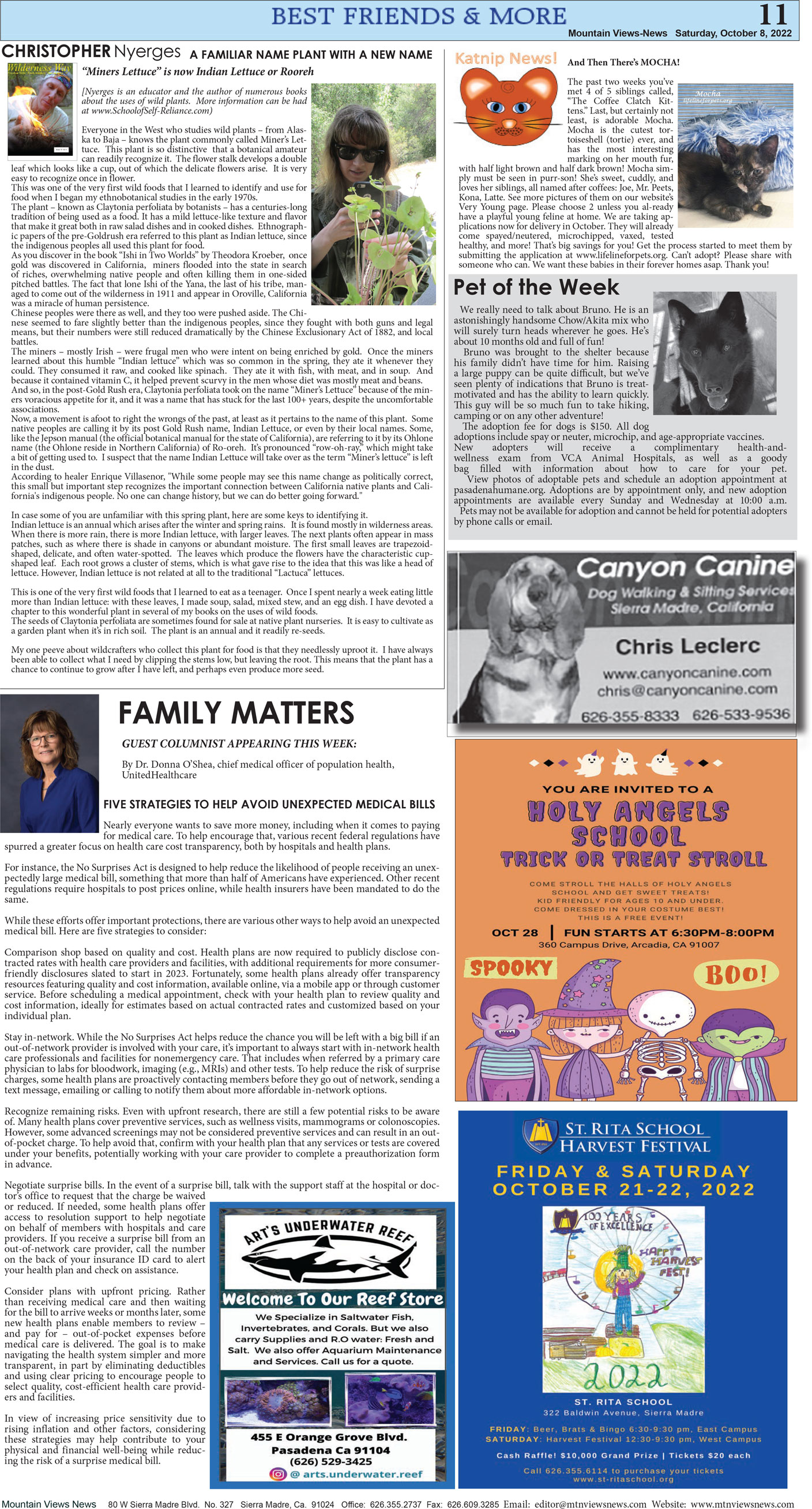 MVNews this week:  Page 11