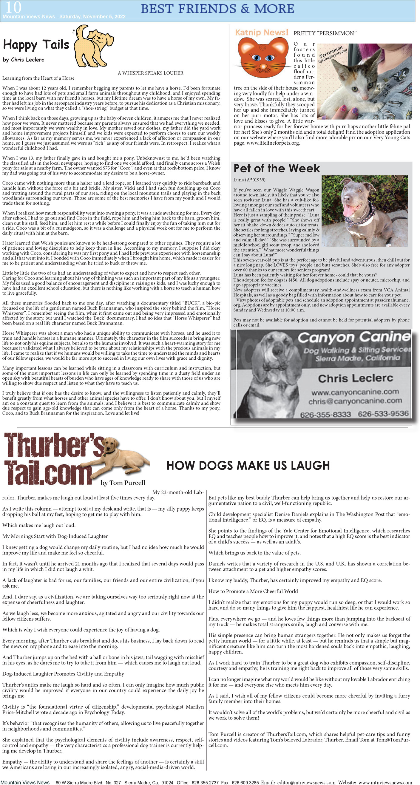 MVNews this week:  Page A:10