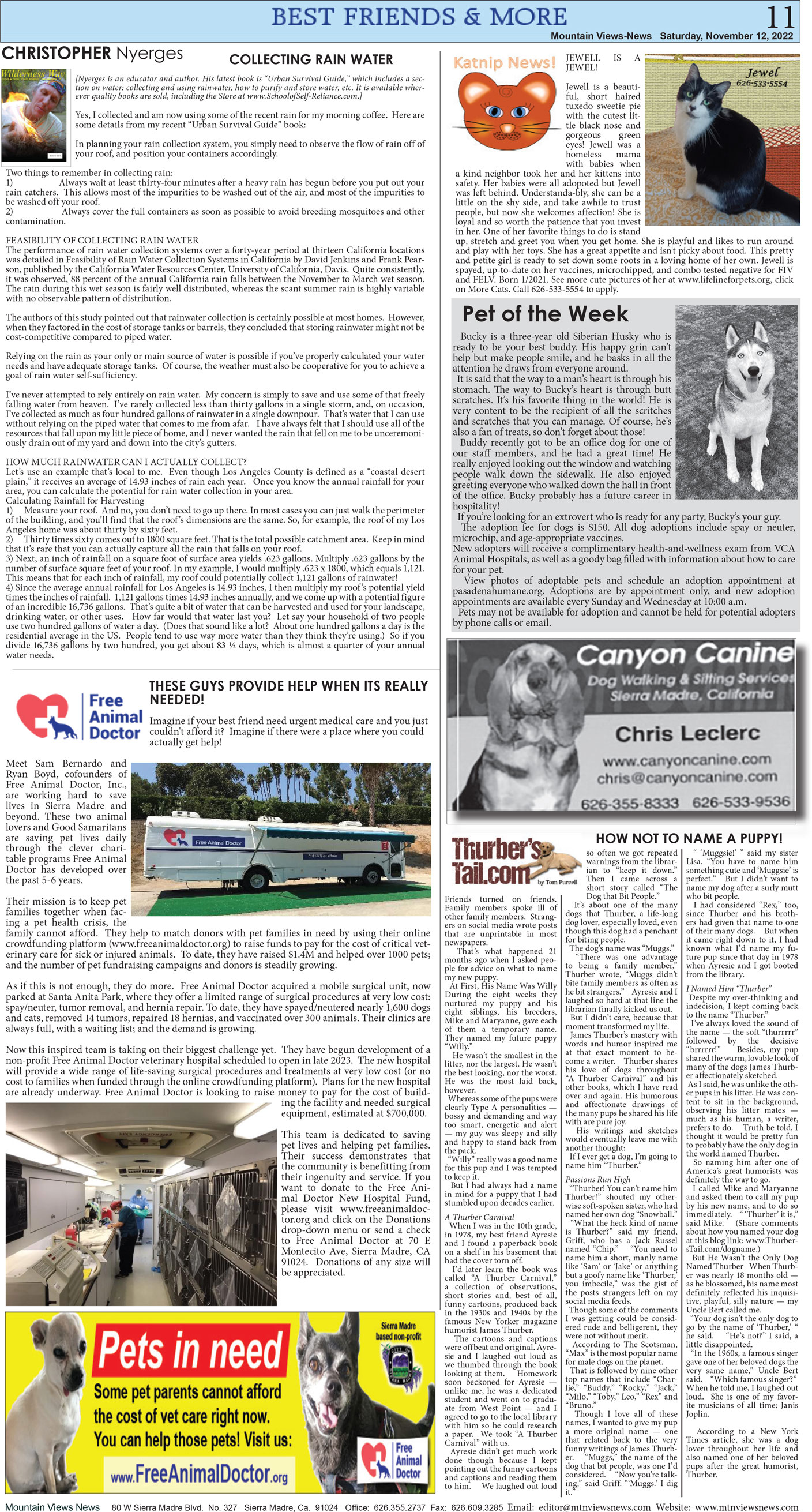 MVNews this week:  Page 11