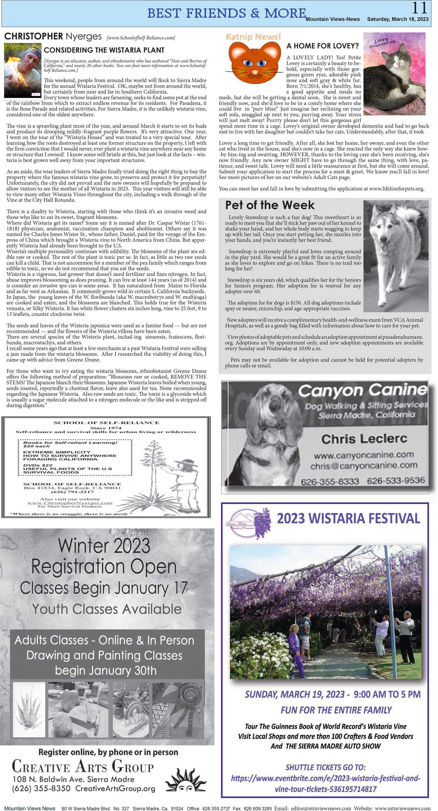 MVNews this week:  Page A:11