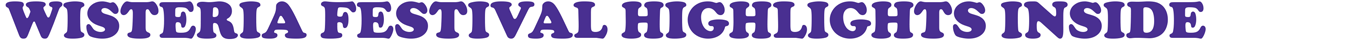 WISTERIA FESTIVAL HIGHLIGHTS INSIDE