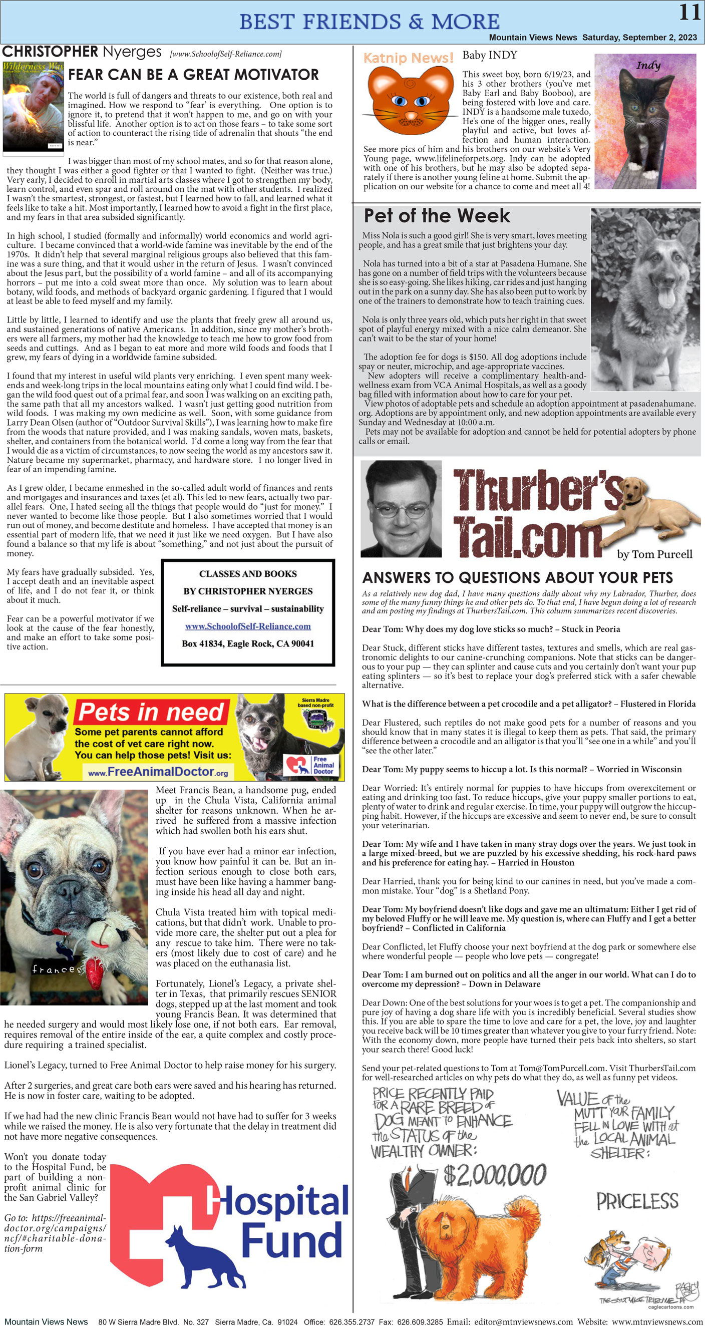 MVNews this week:  Page 11