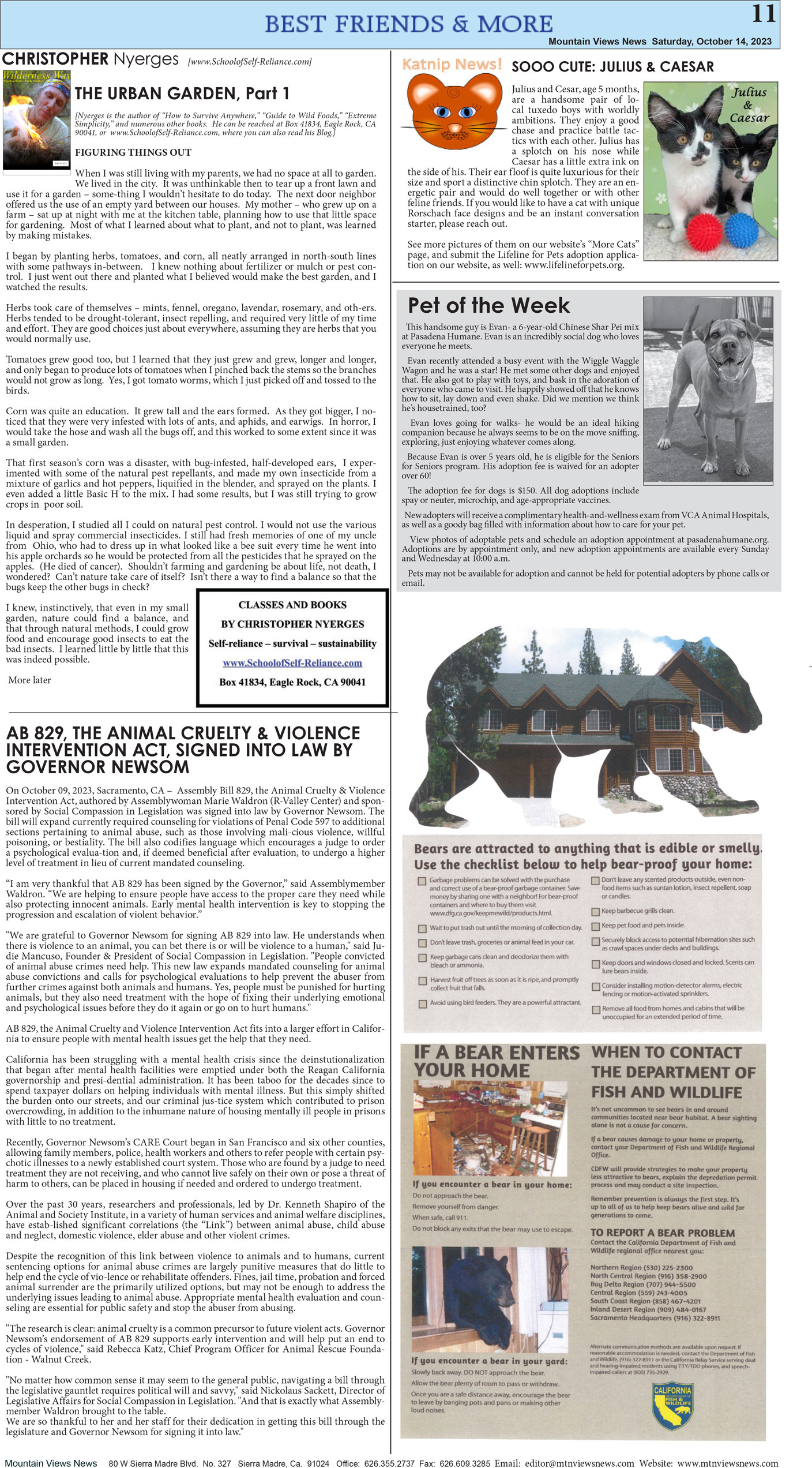 MVNews this week:  Page 11