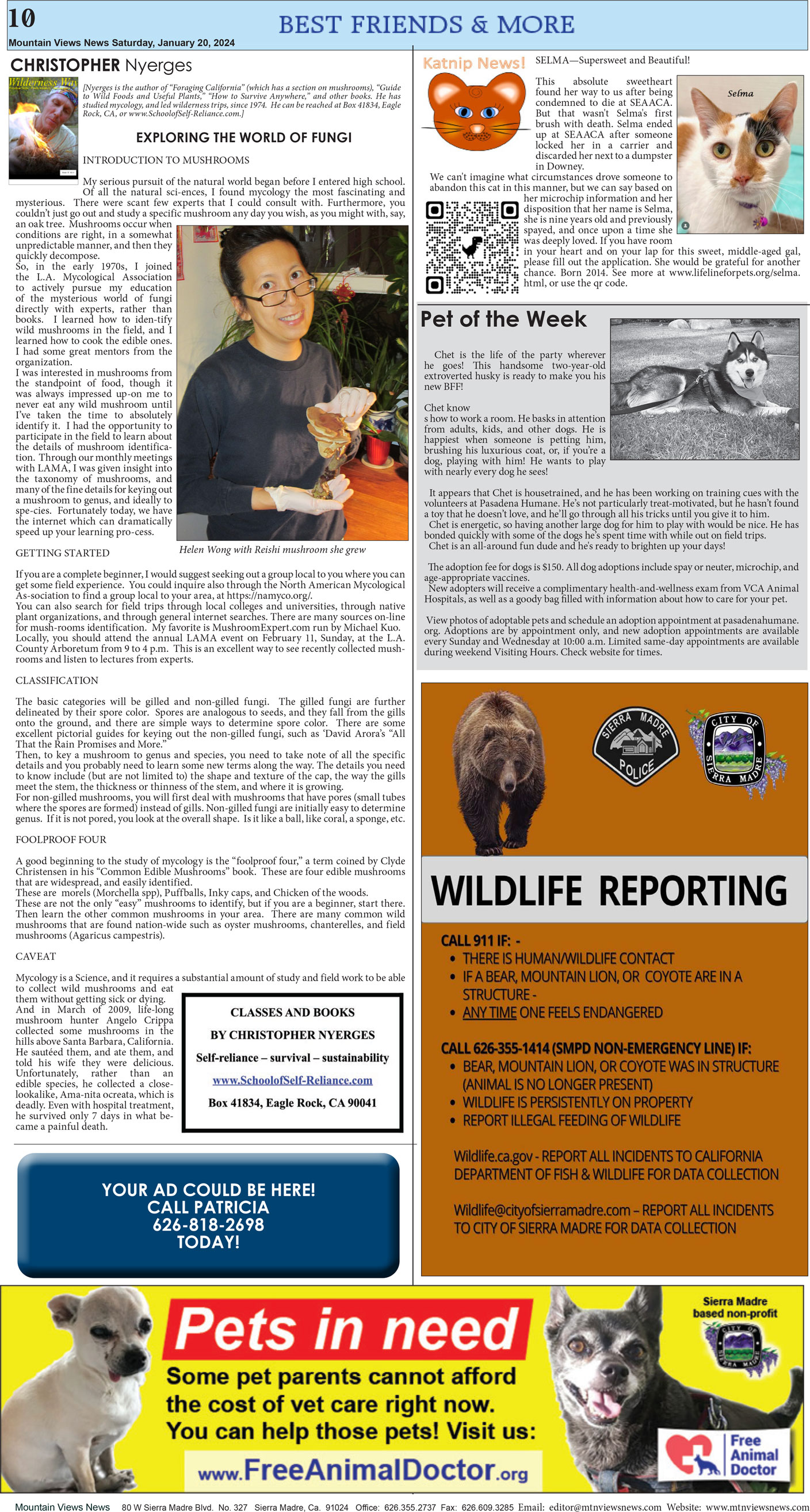 MVNews this week:  Page 10
