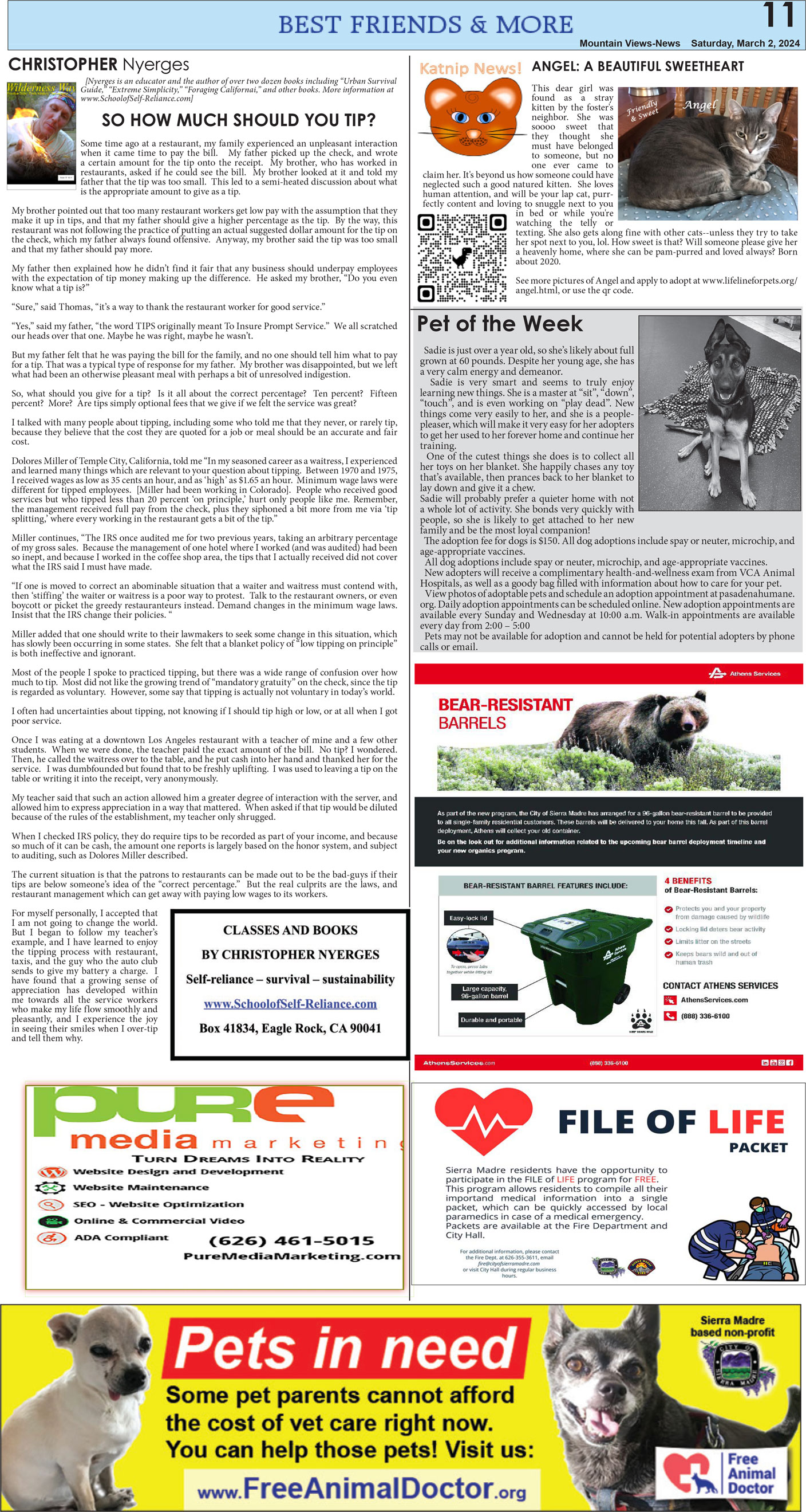 MVNews this week:  Page 11