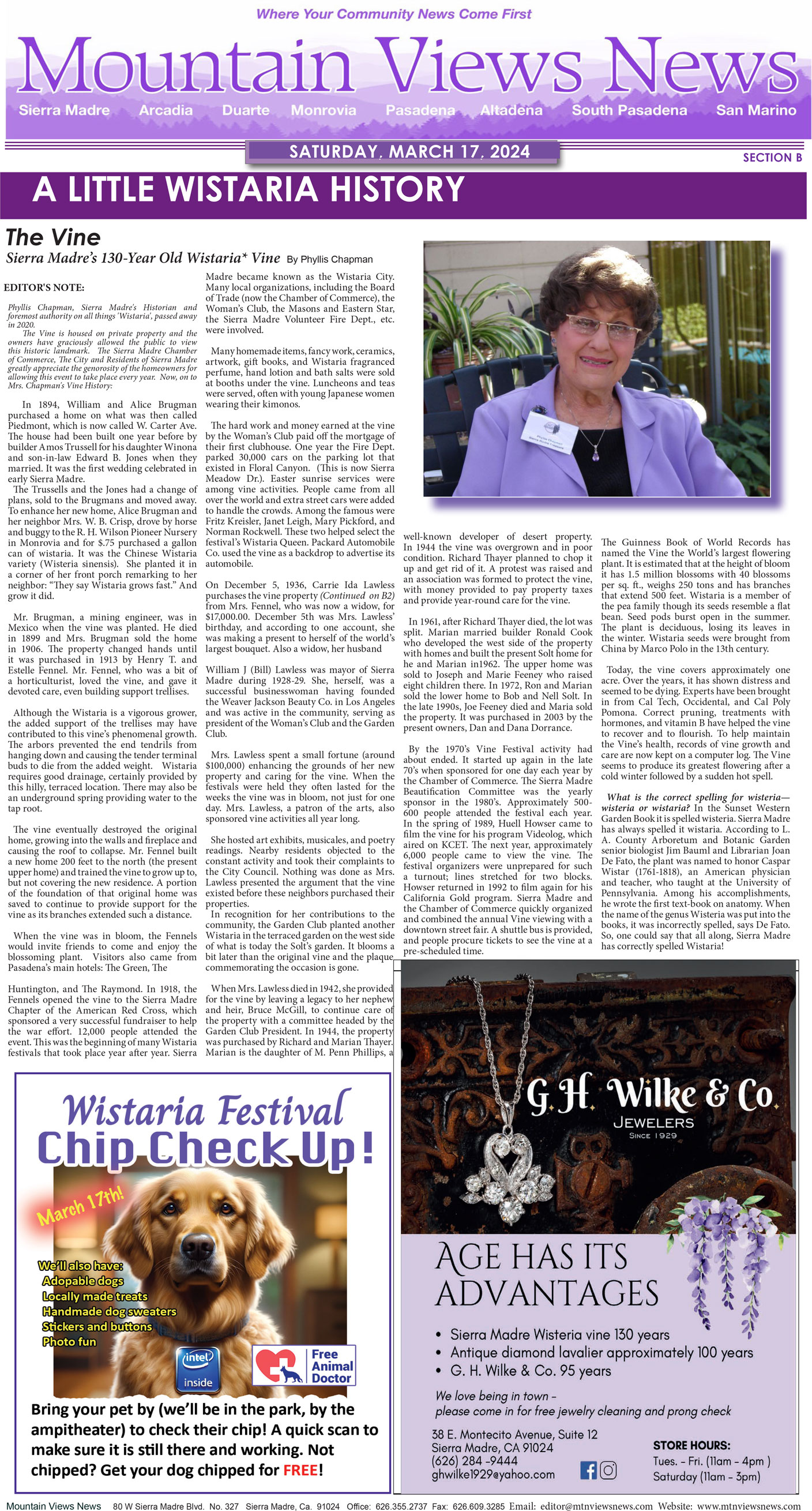 MVNews this week: Page 17