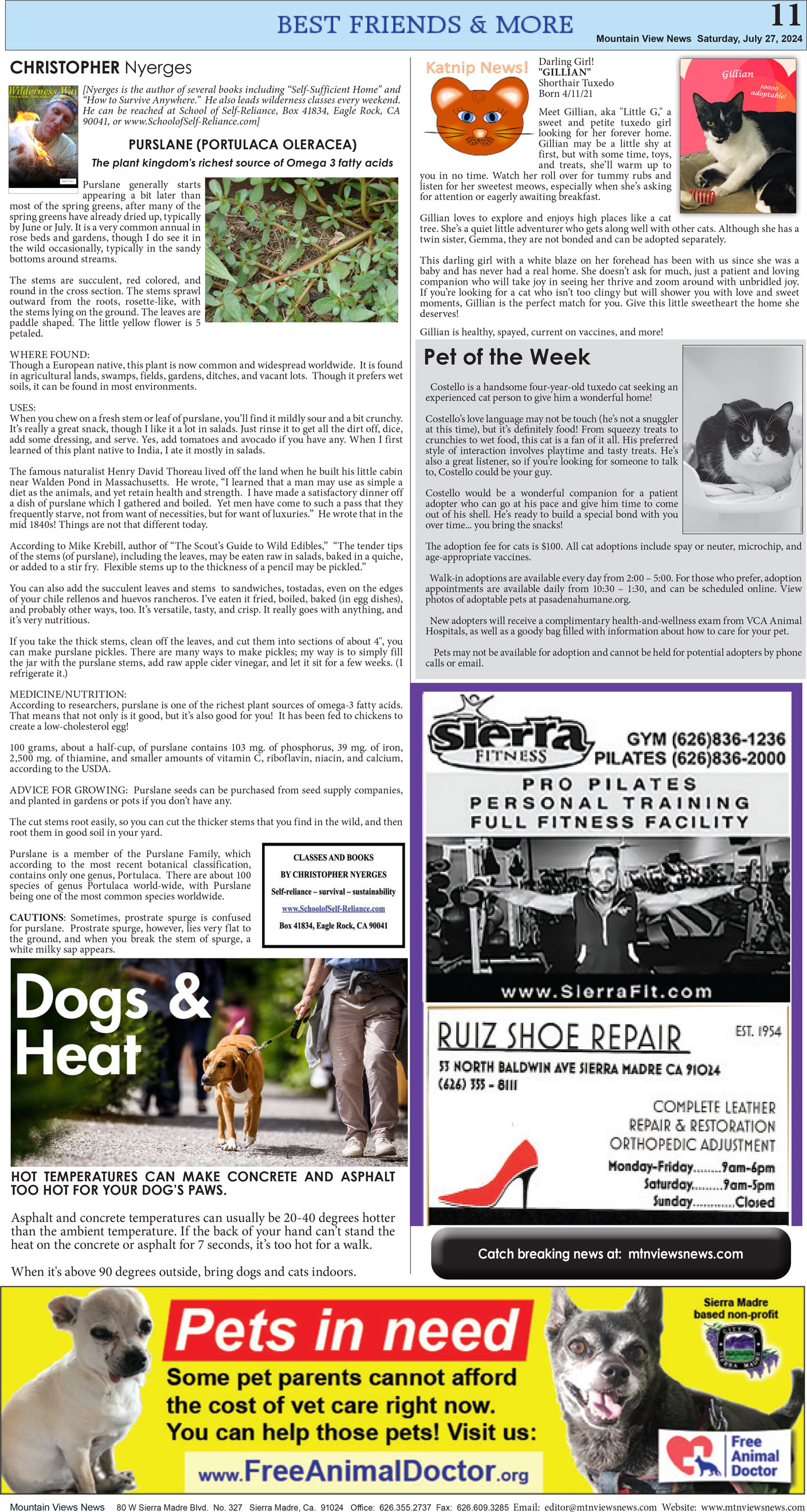 MVNews this week: Page 11