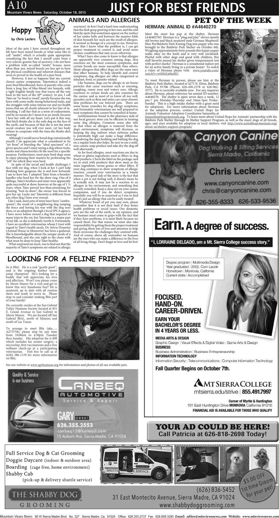 MVNews this week:  Page A:10