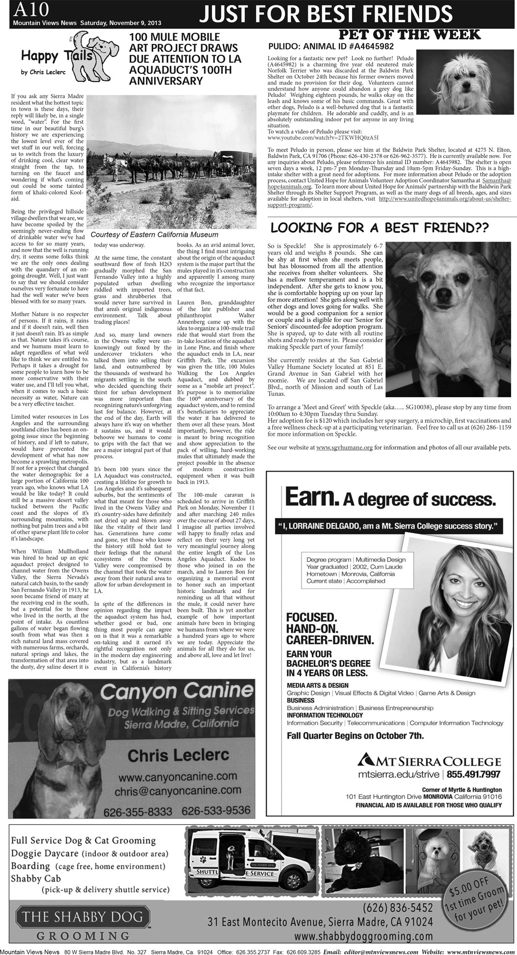 MVNews this week:  Page A:10