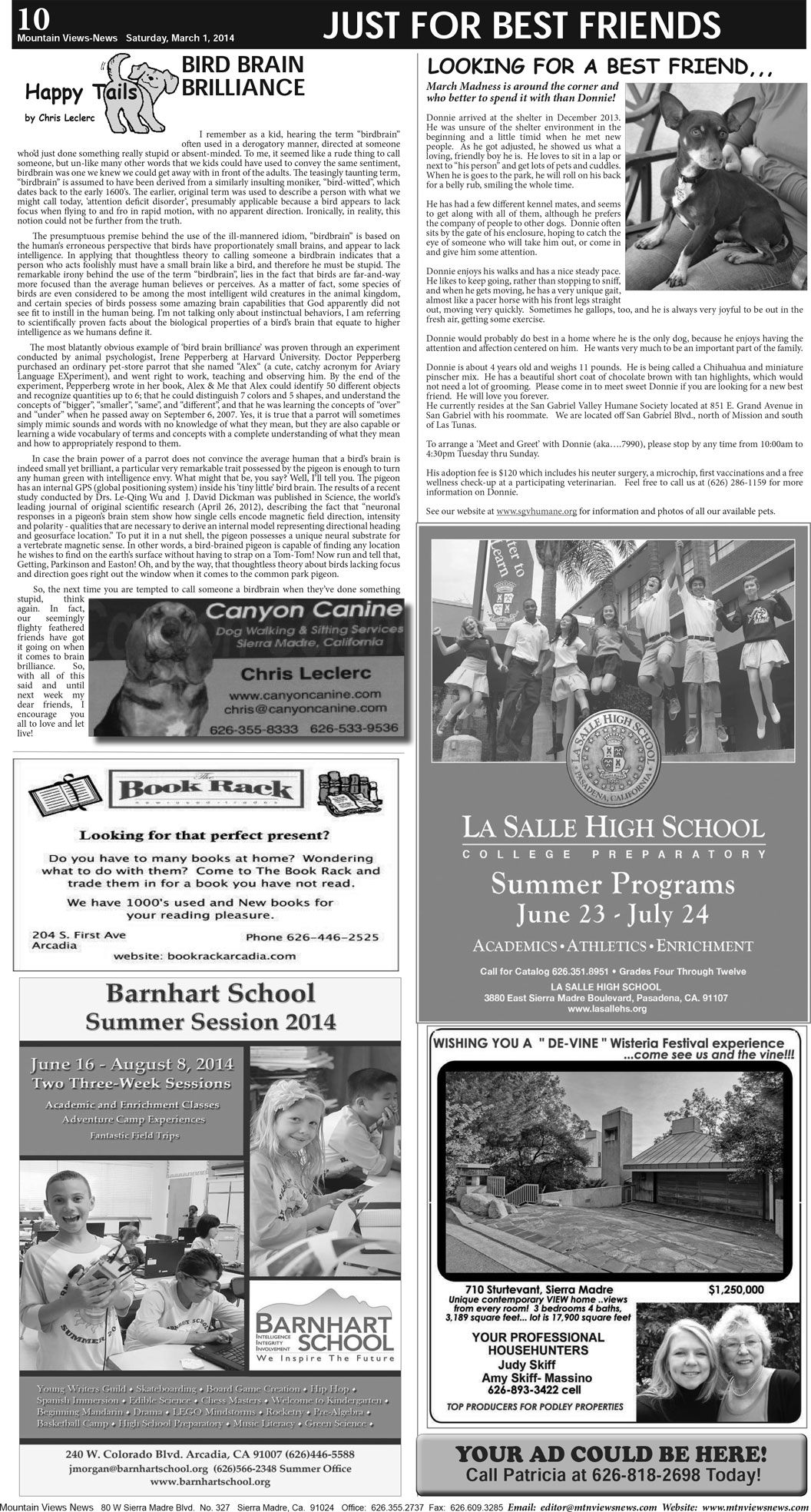 MVNews this week:  Page A:10