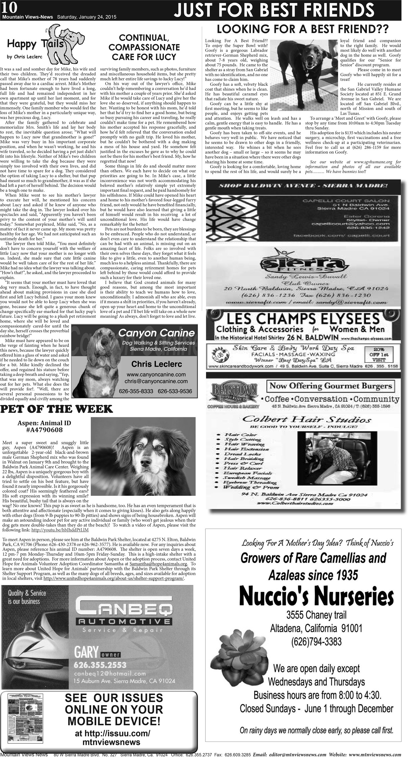 MVNews this week:  Page 10