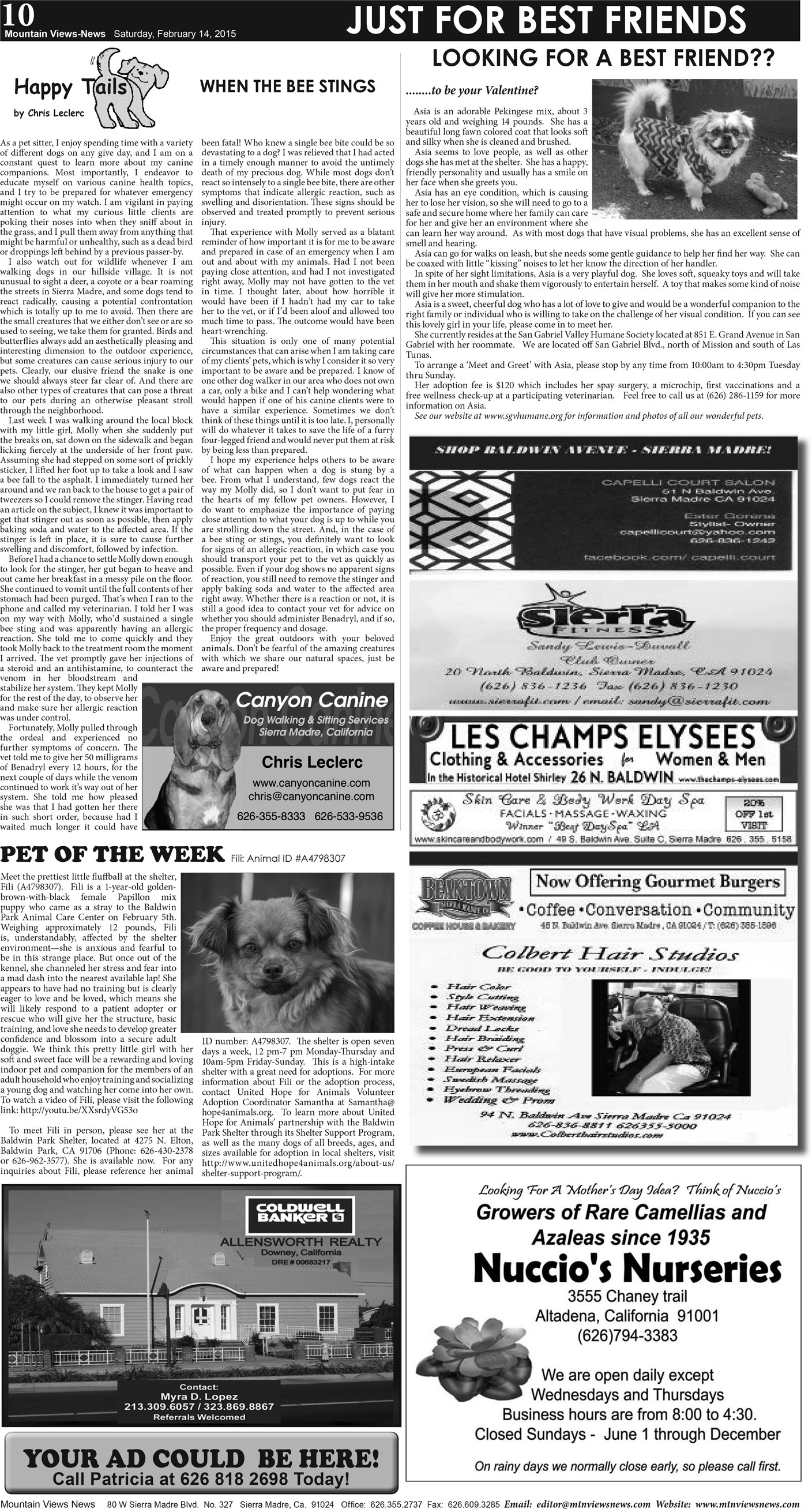 MVNews this week:  Page 10