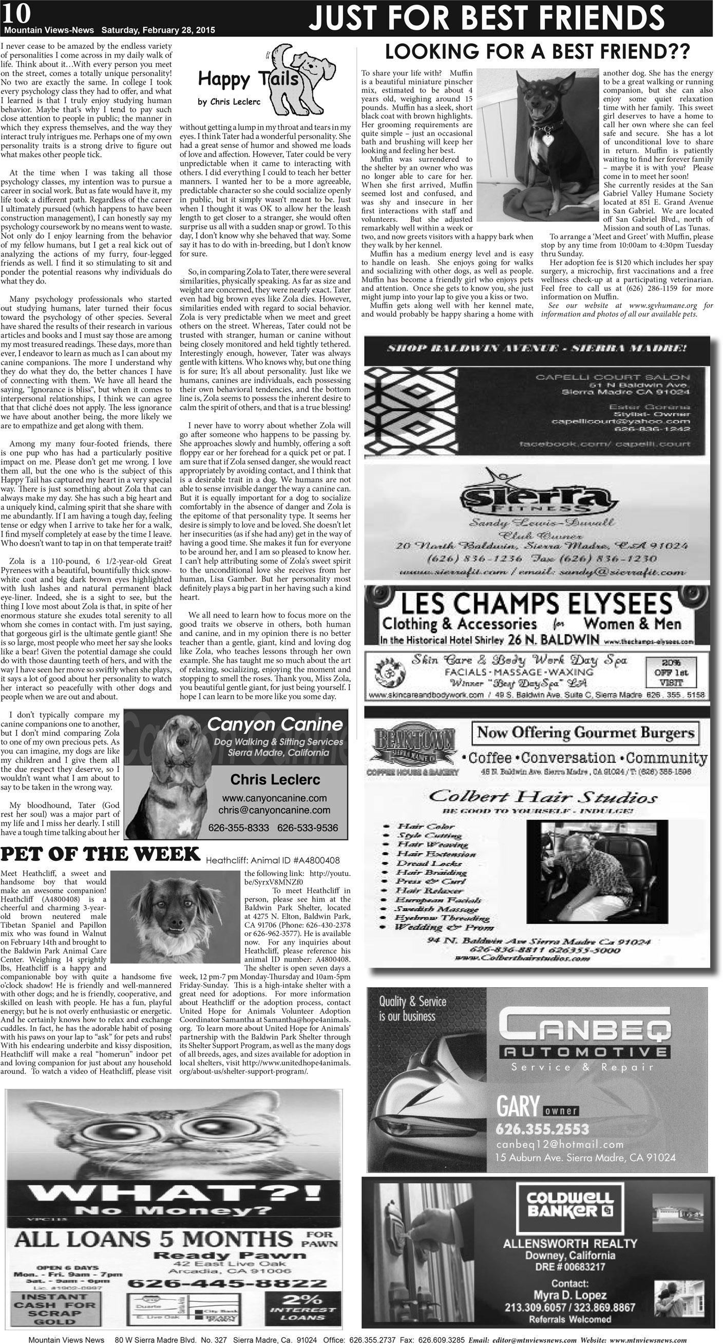 MVNews this week:  Page A:10