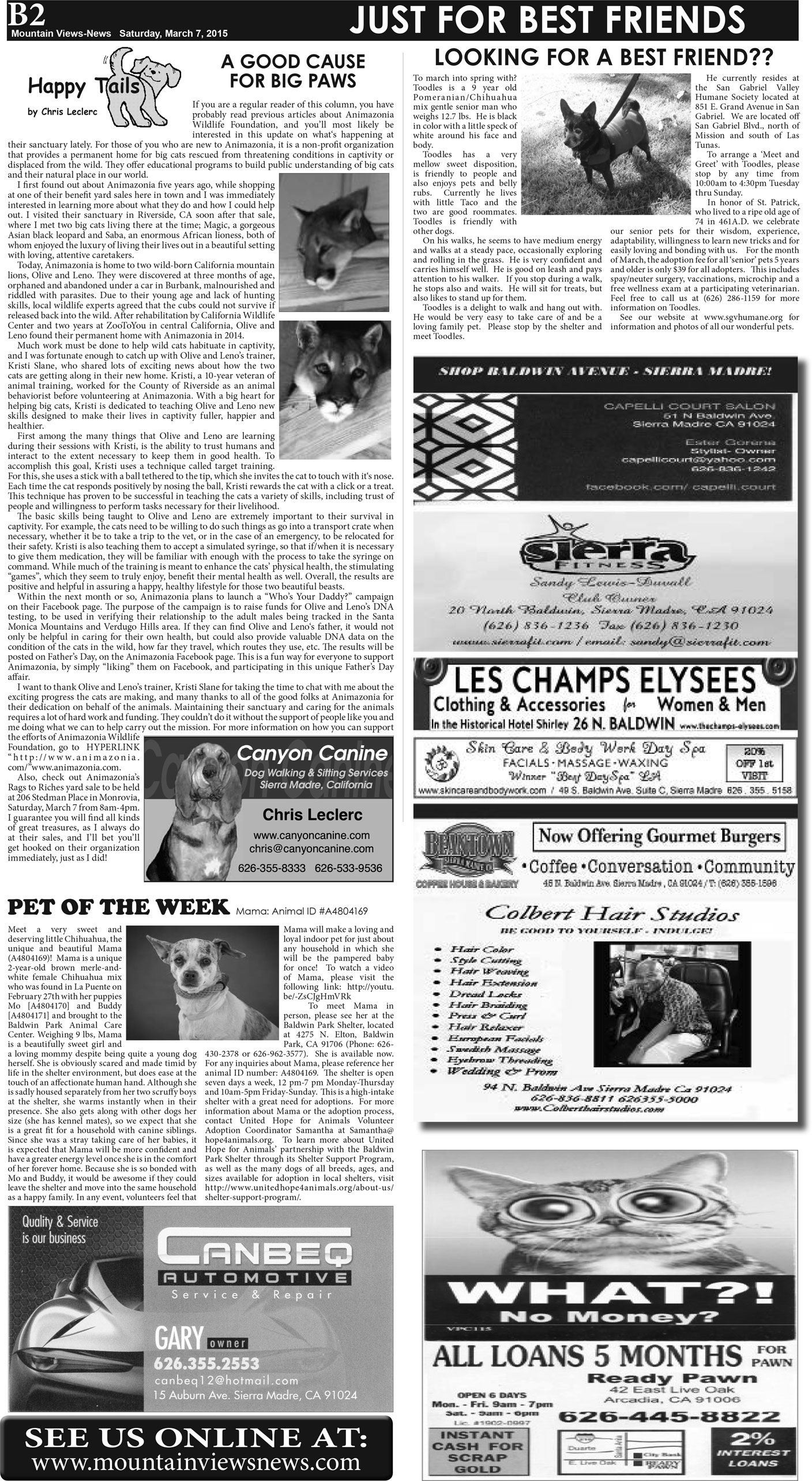 MVNews this week:  Page B:2