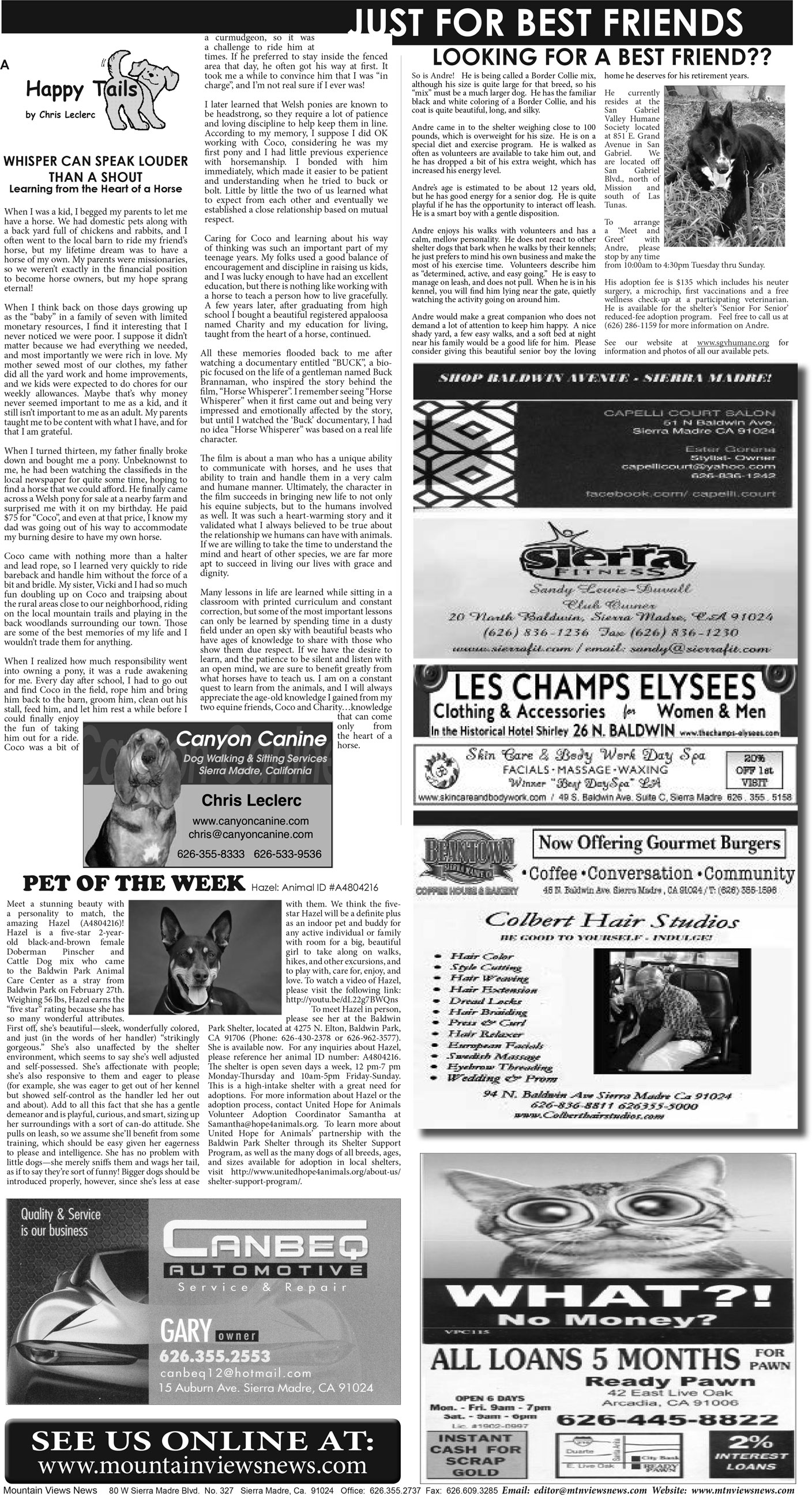 MVNews this week:  Page A:13