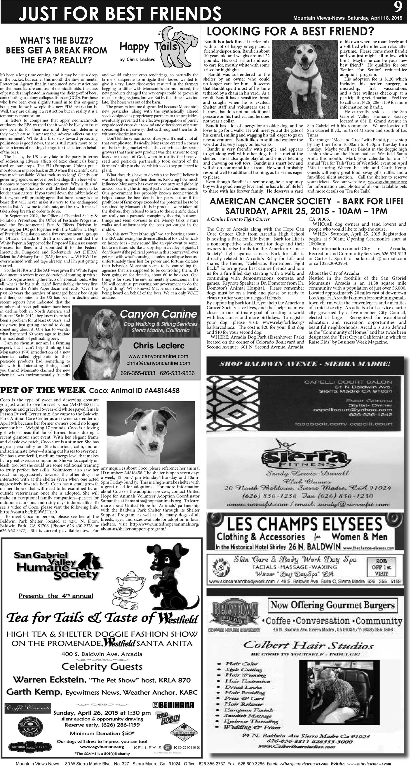 MVNews this week:  Page 9