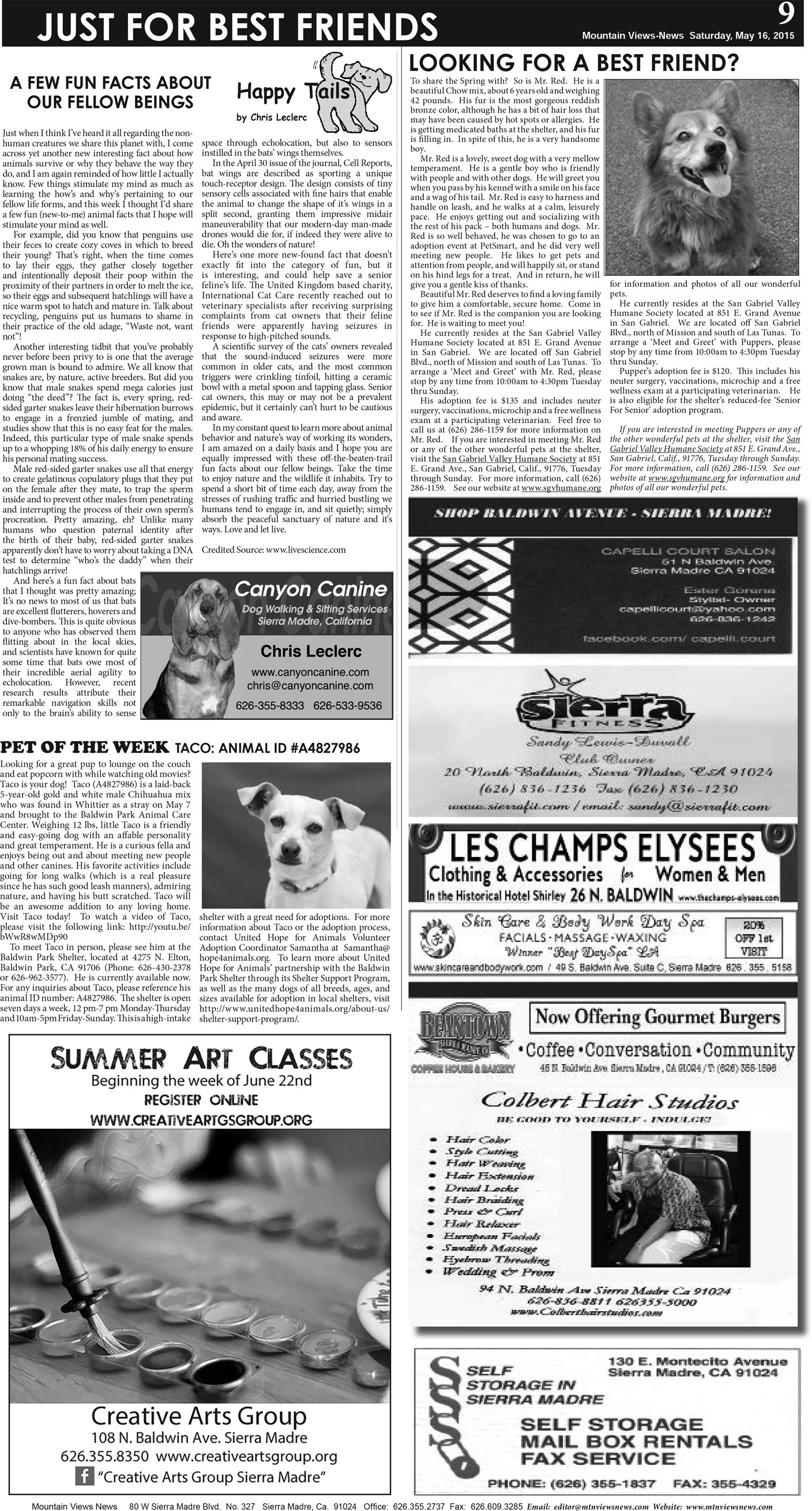 MVNews this week:  Page 9