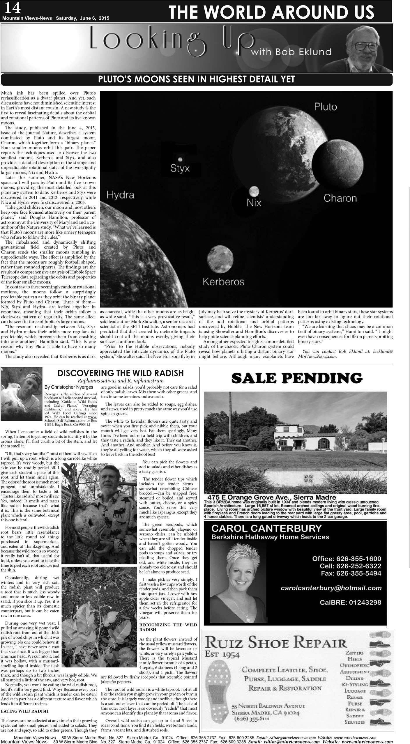 MVNews this week:  Page 14