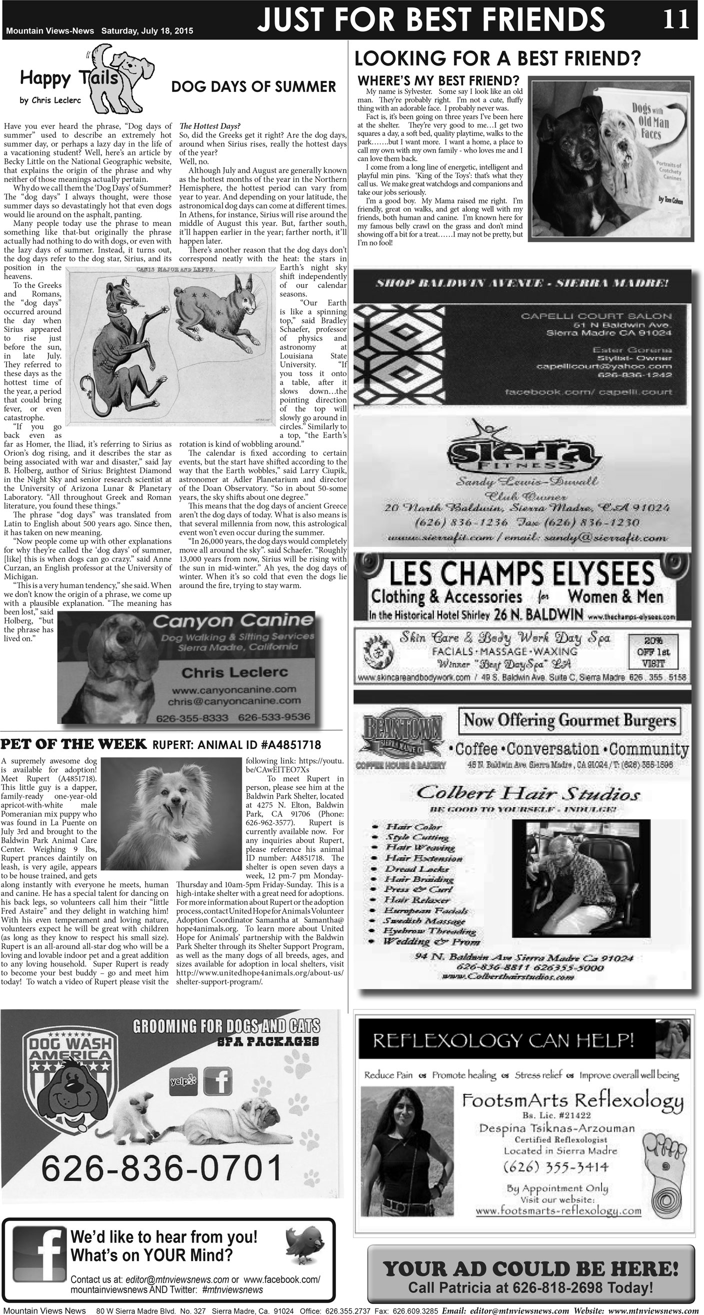 MVNews this week:  Page 11
