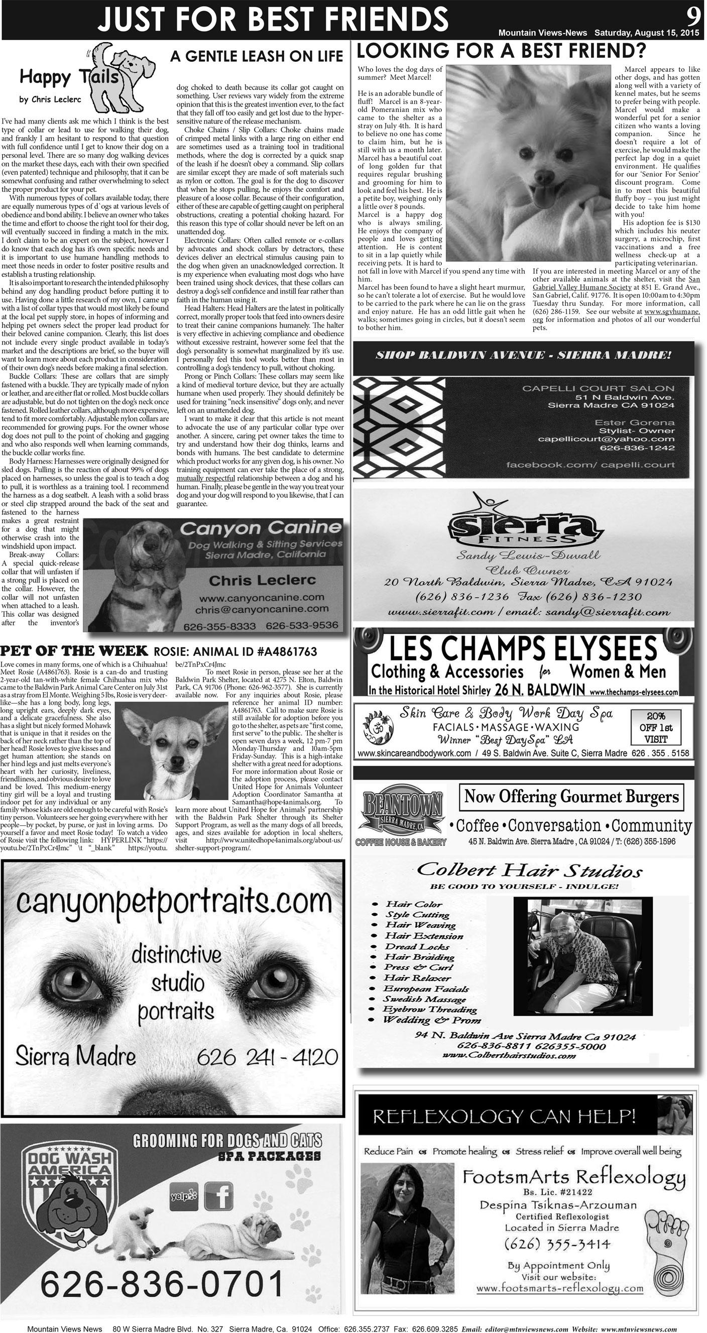MVNews this week:  Page 9
