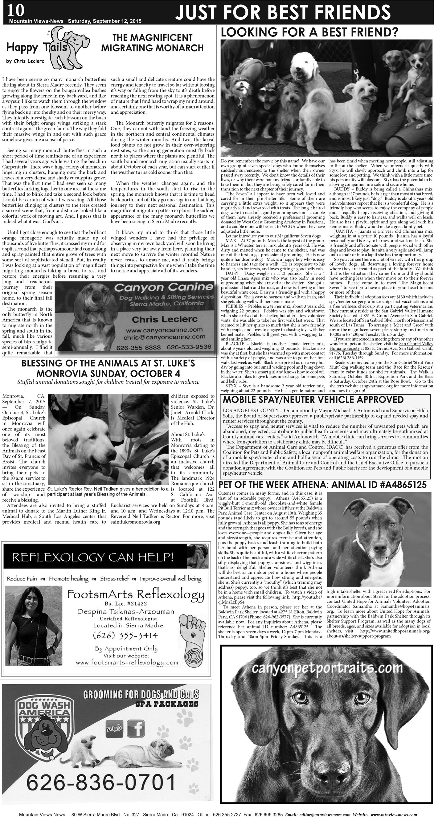 MVNews this week:  Page 10