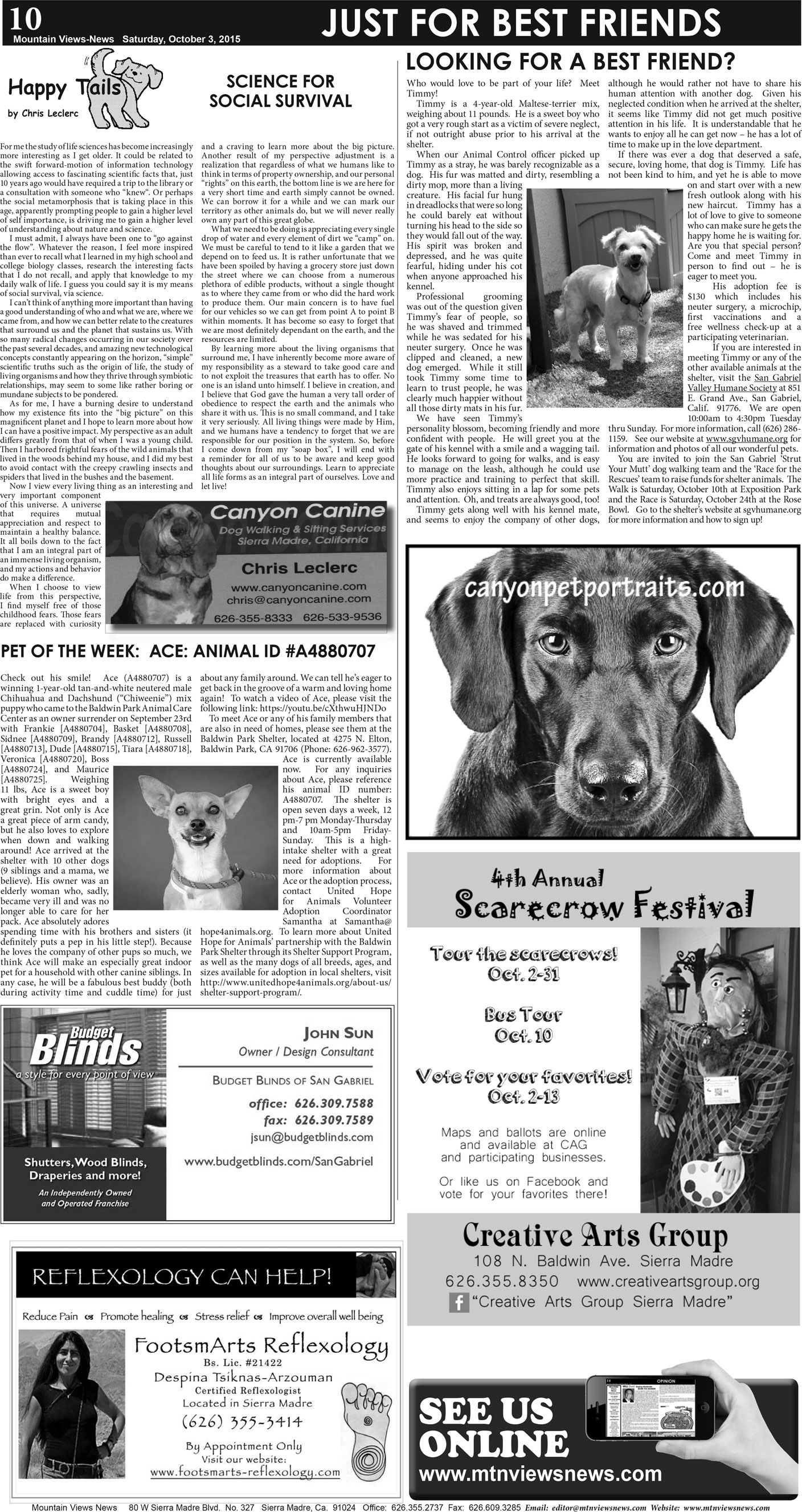 MVNews this week:  Page 10
