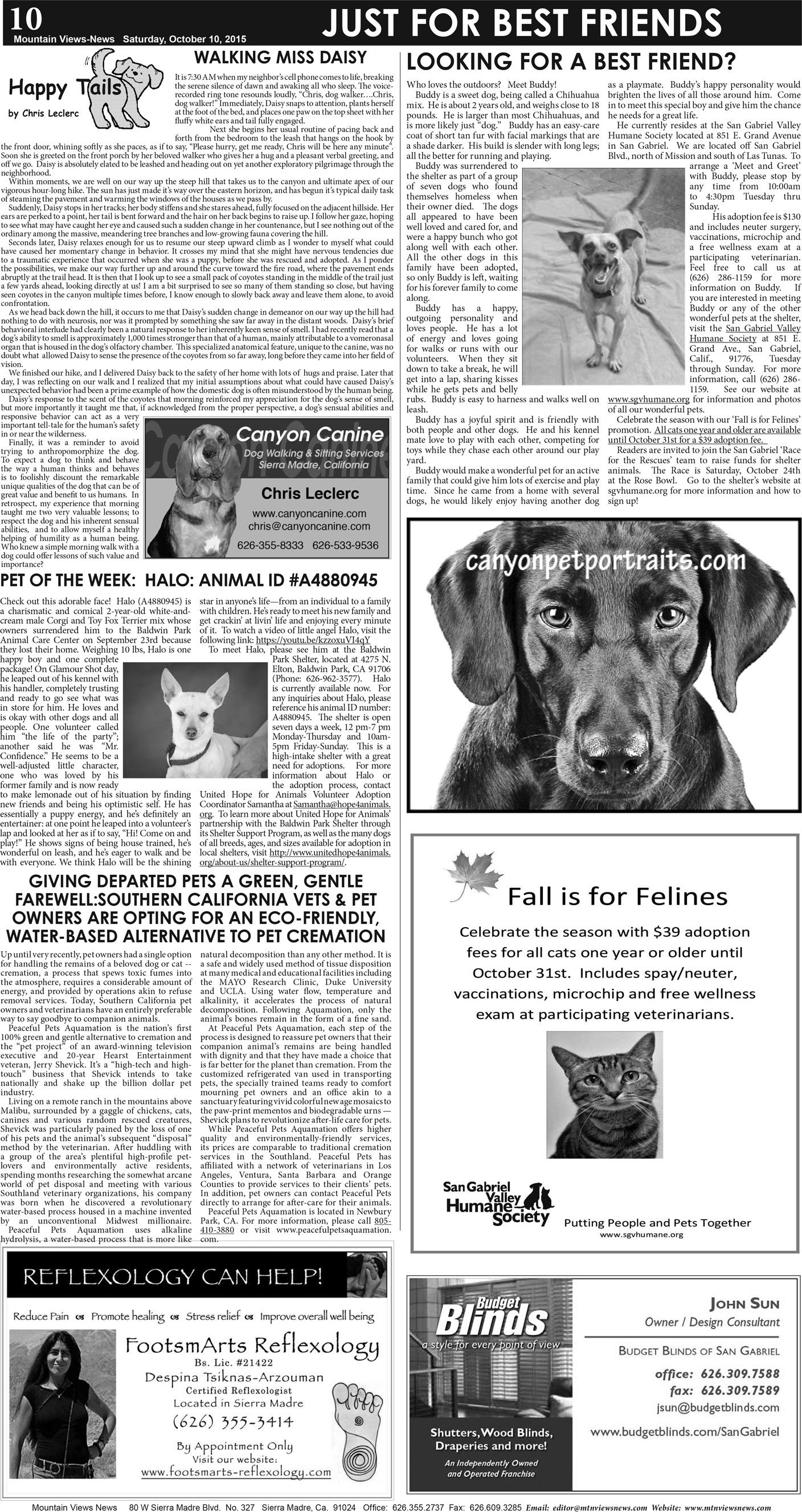 MVNews this week:  Page 10