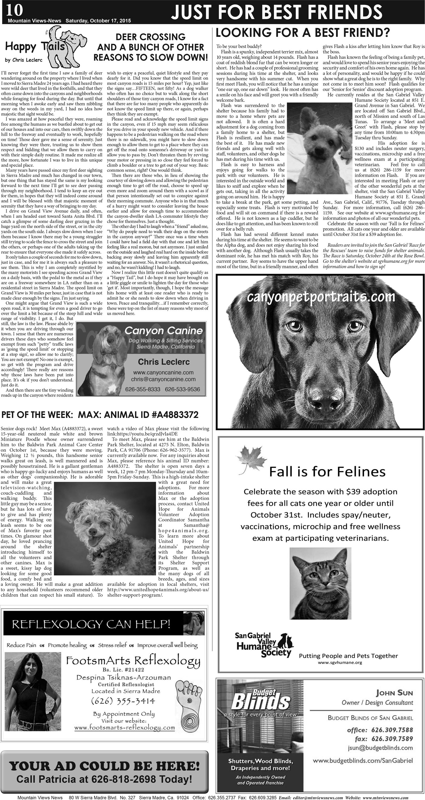 MVNews this week:  Page 10