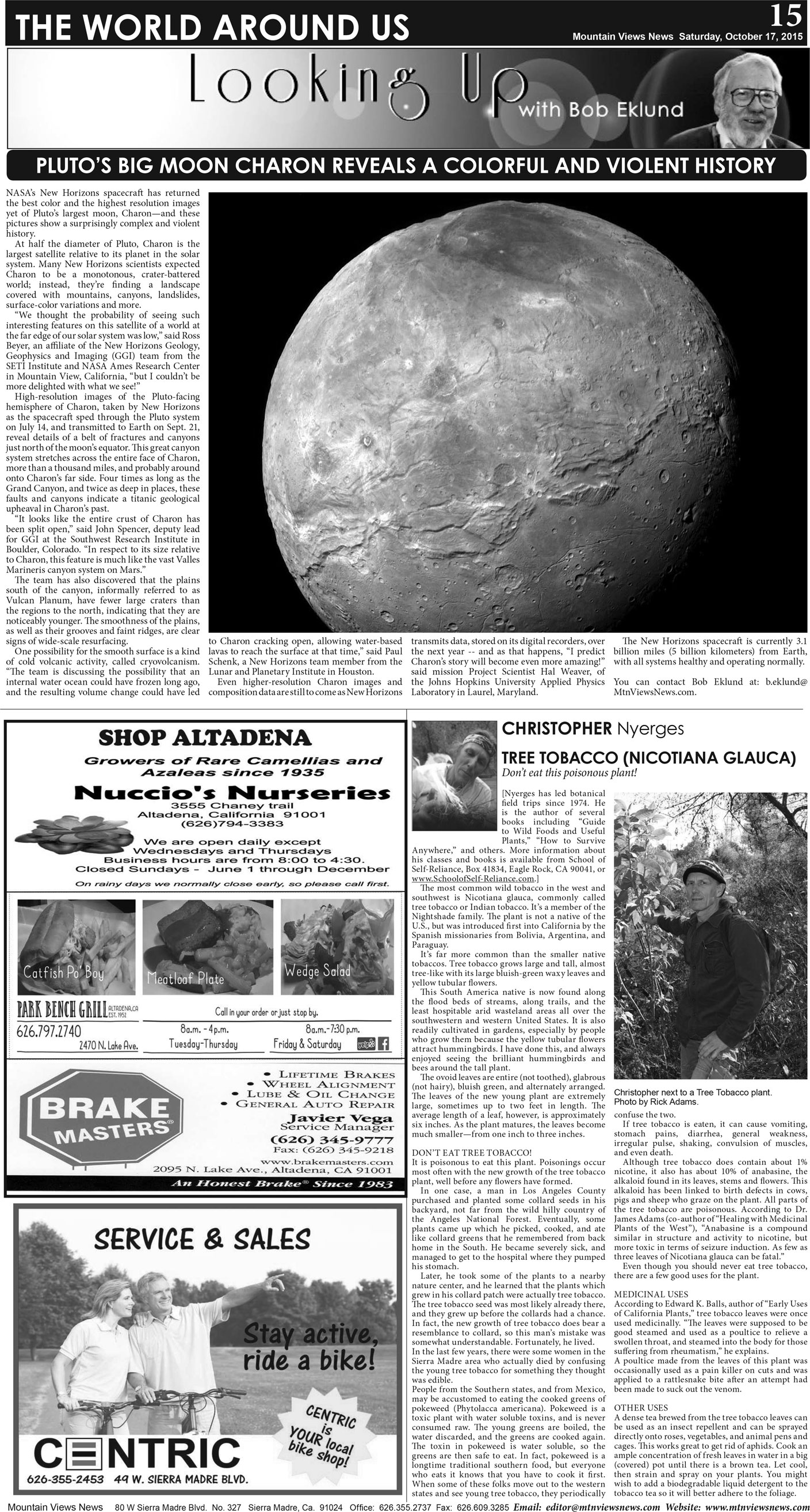 MVNews this week:  Page 15