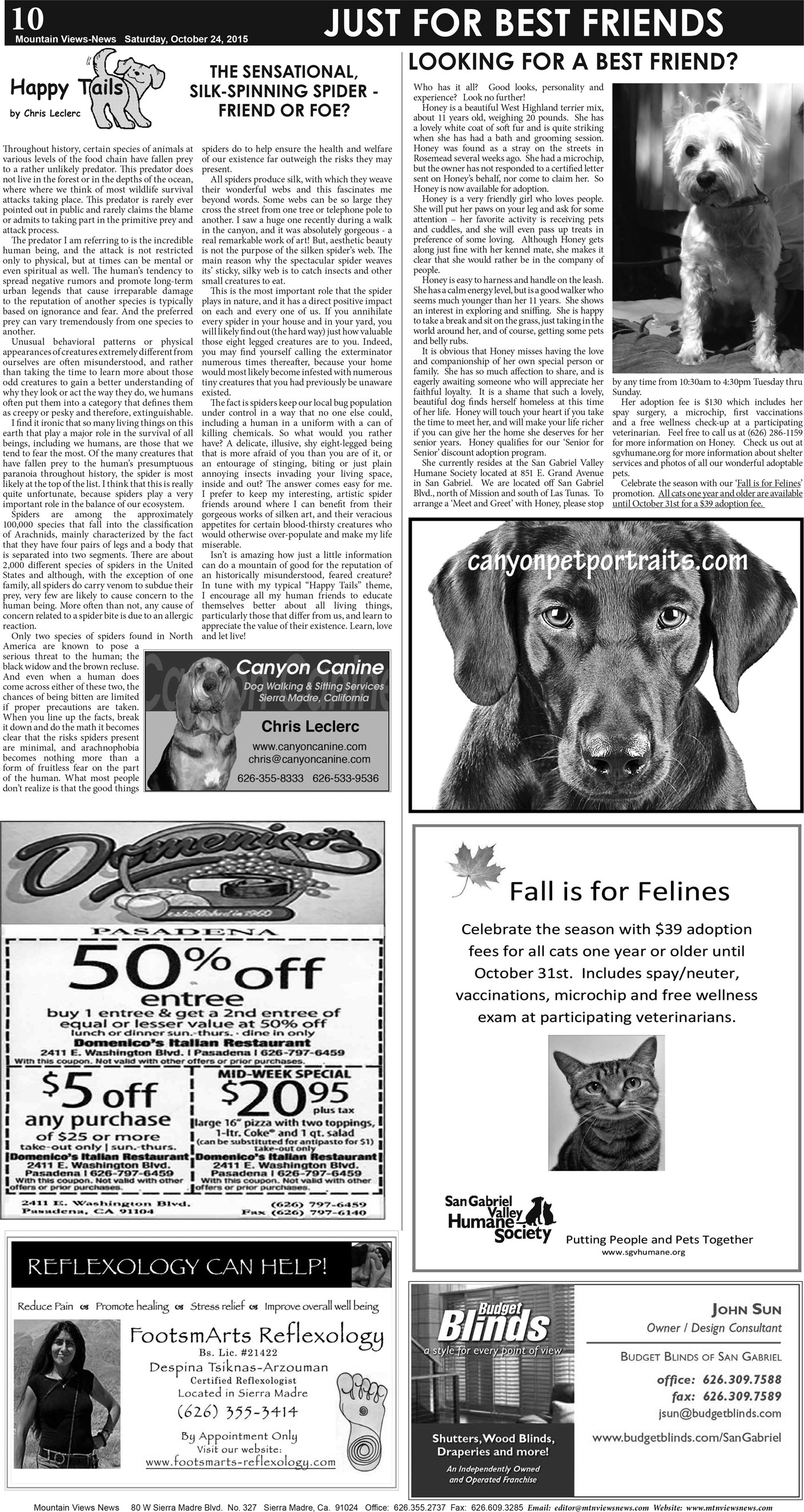 MVNews this week:  Page 10