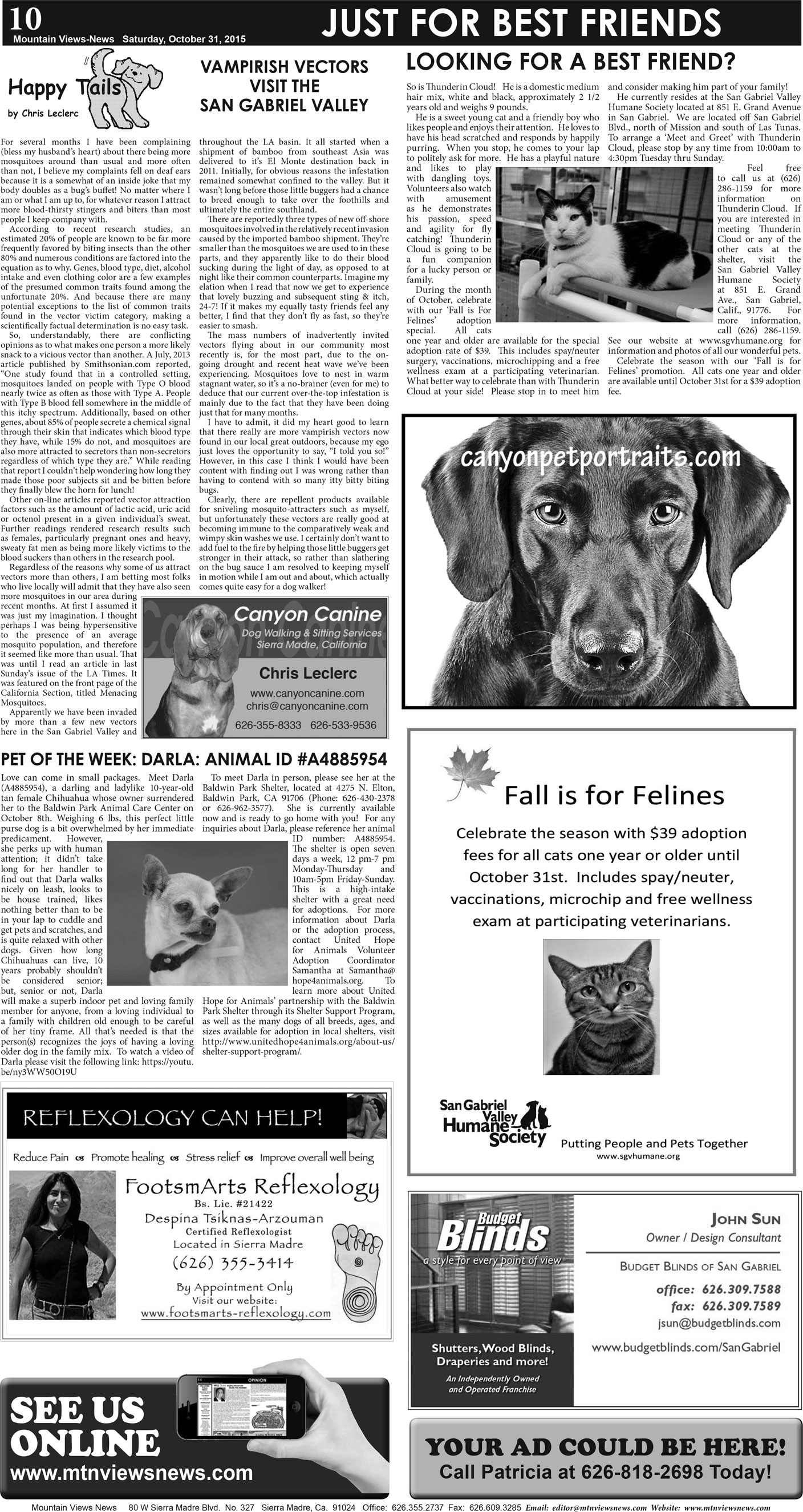 MVNews this week:  Page 10