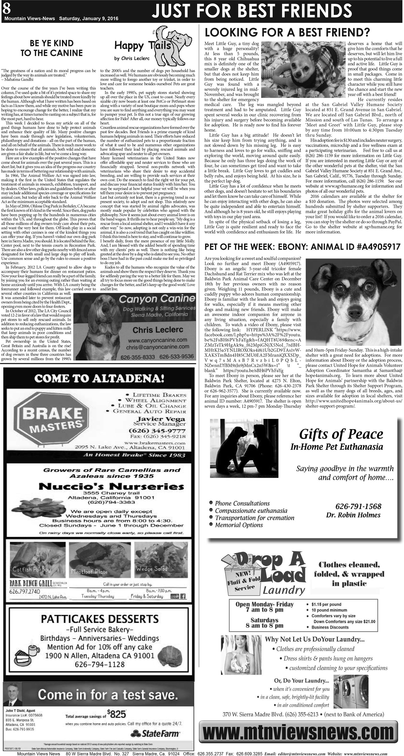 MVNews this week:  Page 8