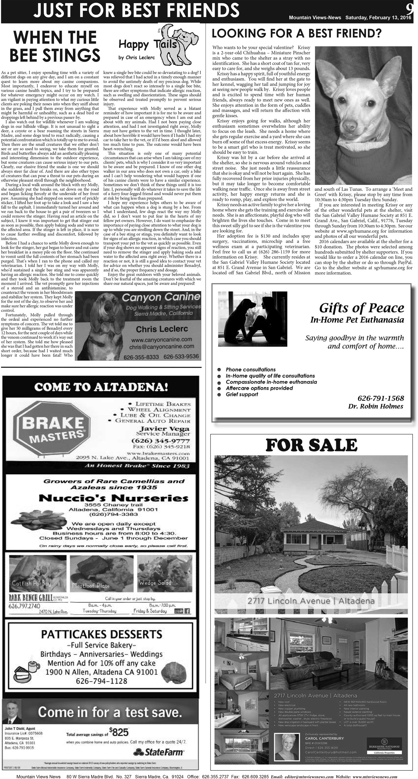 MVNews this week:  Page 9