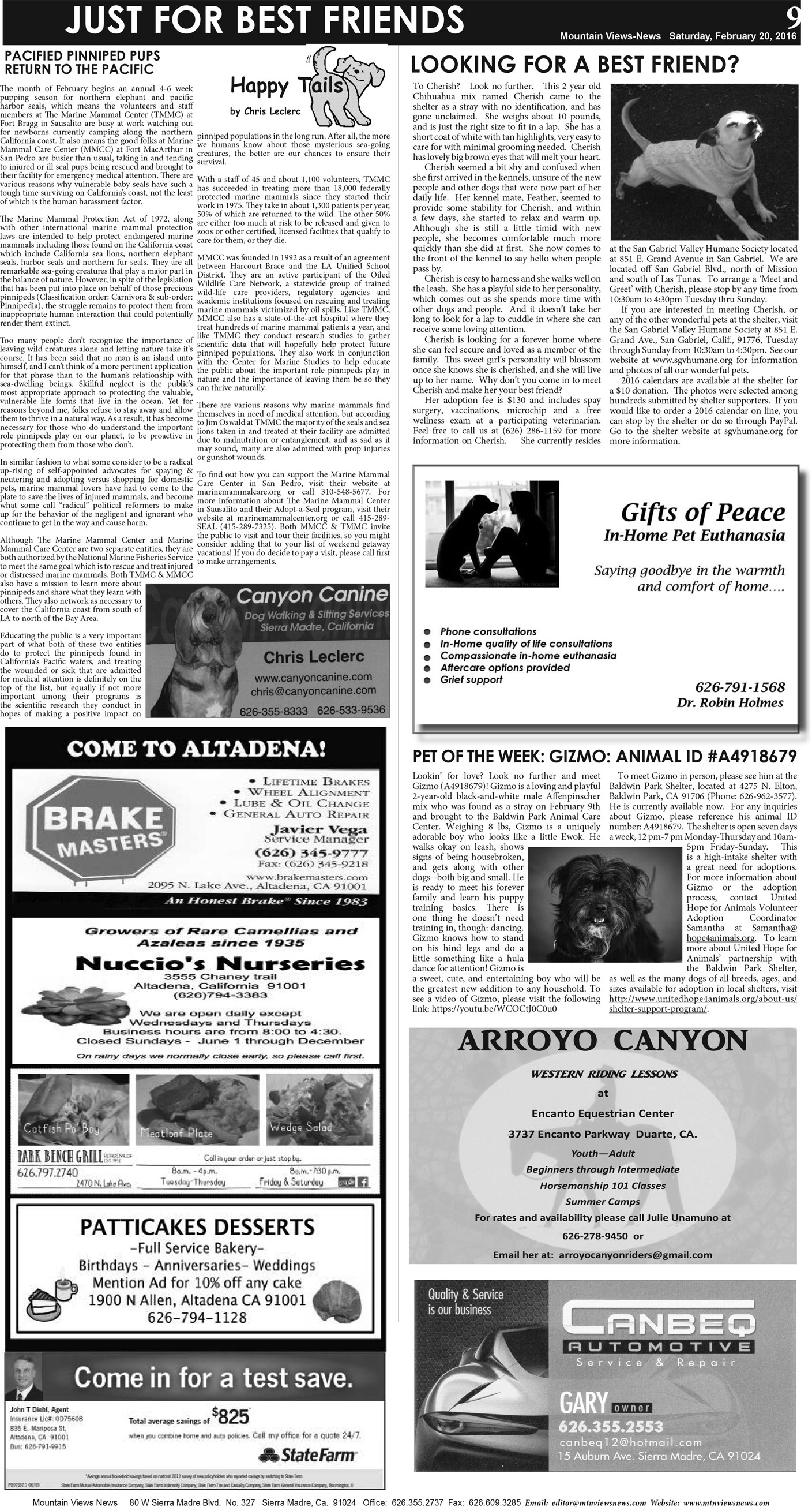 MVNews this week:  Page 9