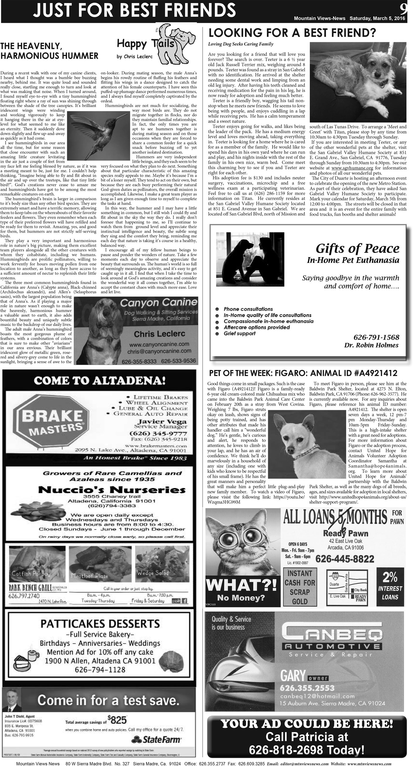 MVNews this week:  Page 9