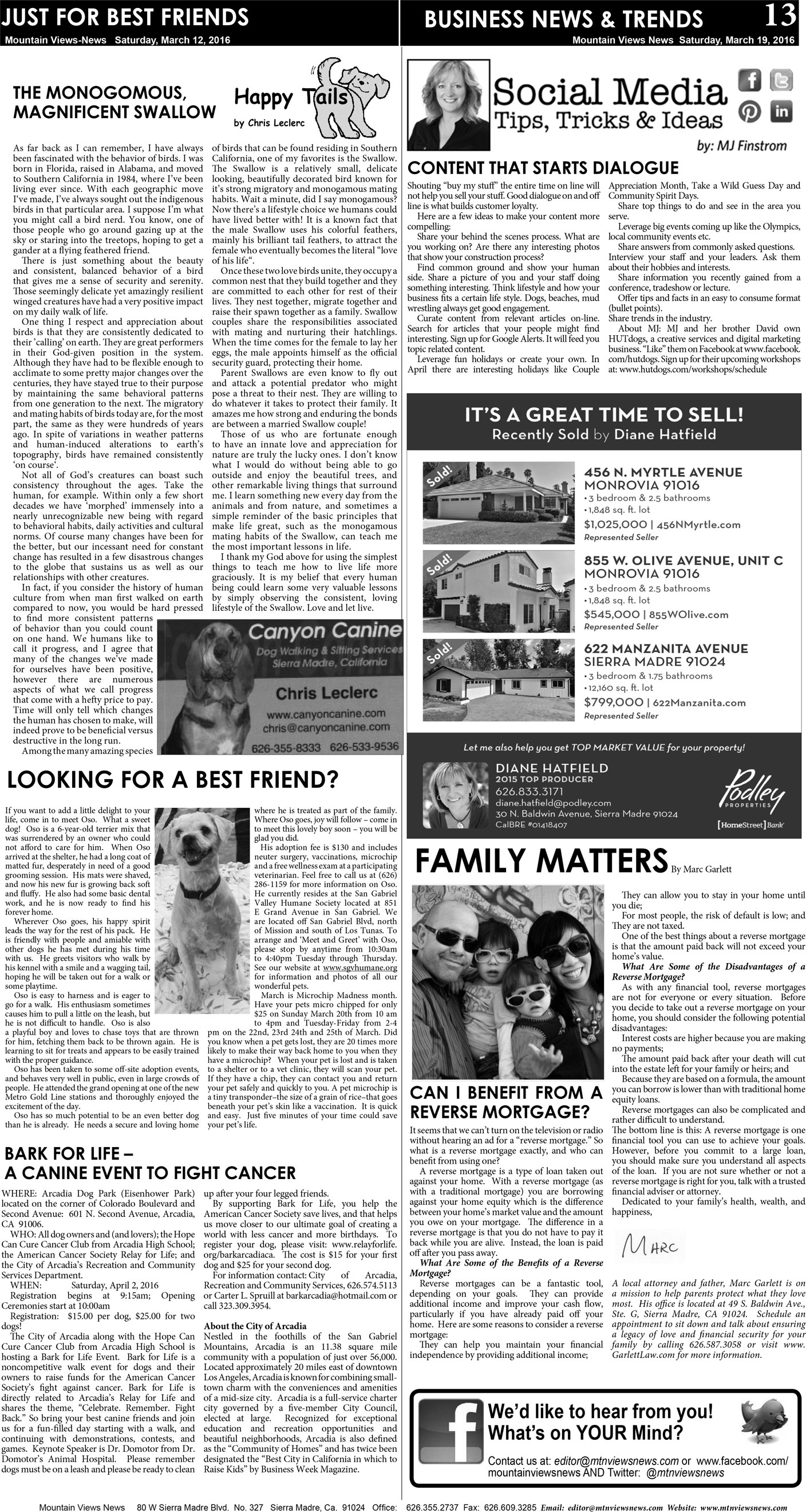 MVNews this week:  Page 13