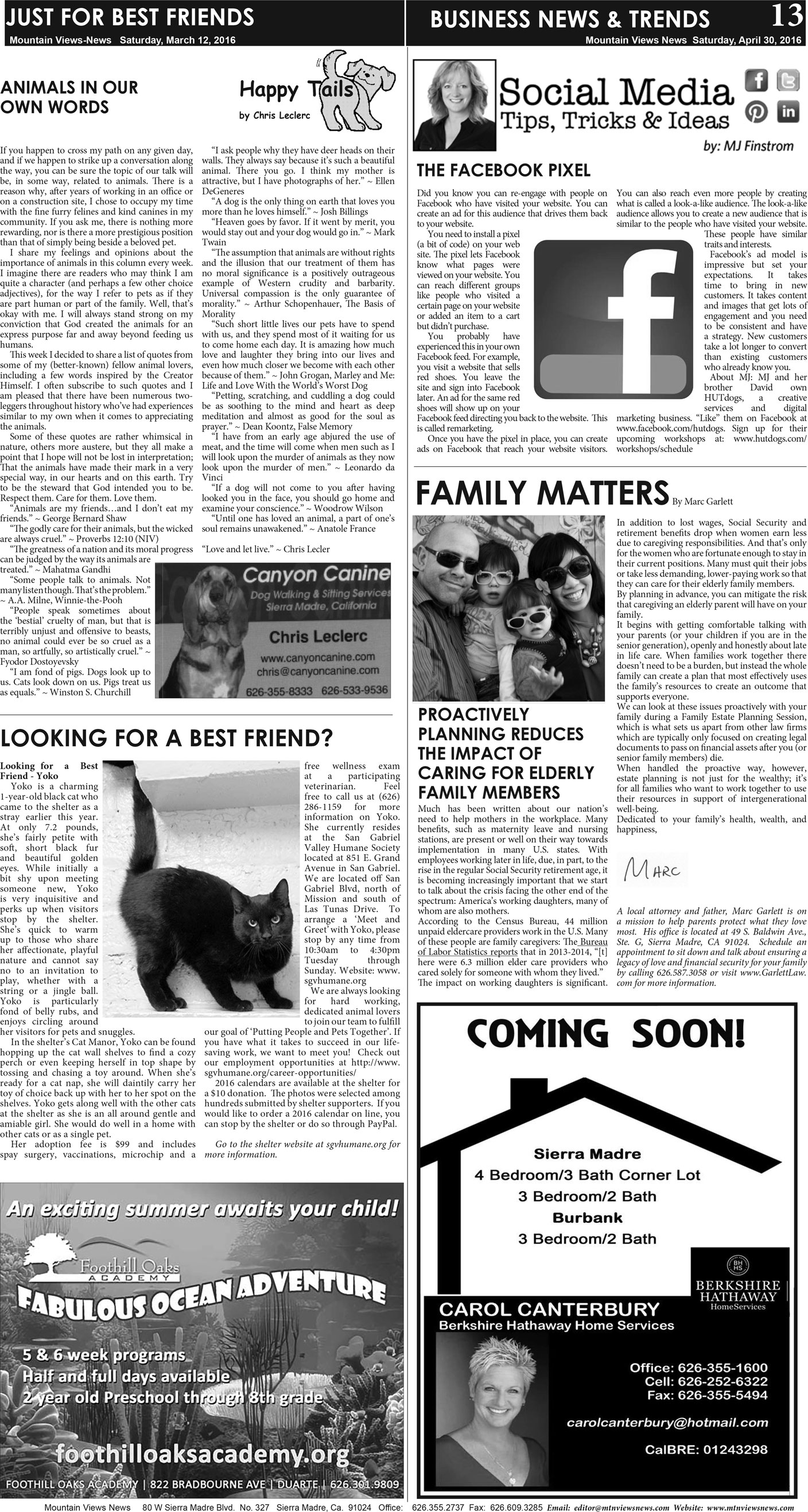 MVNews this week:  Page 13