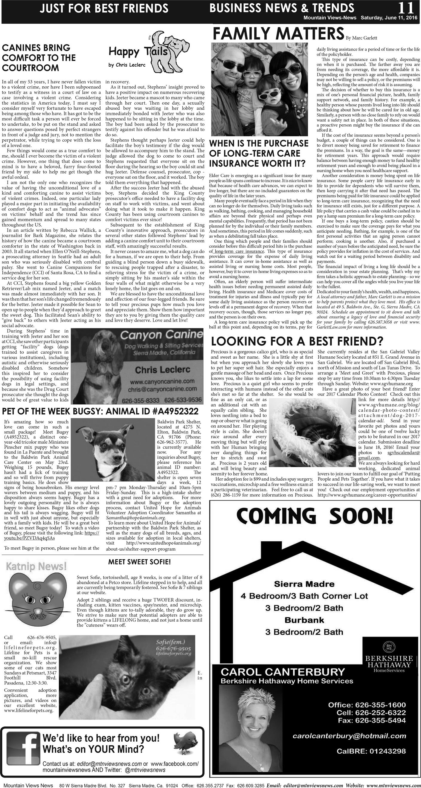 MVNews this week:  Page A:11