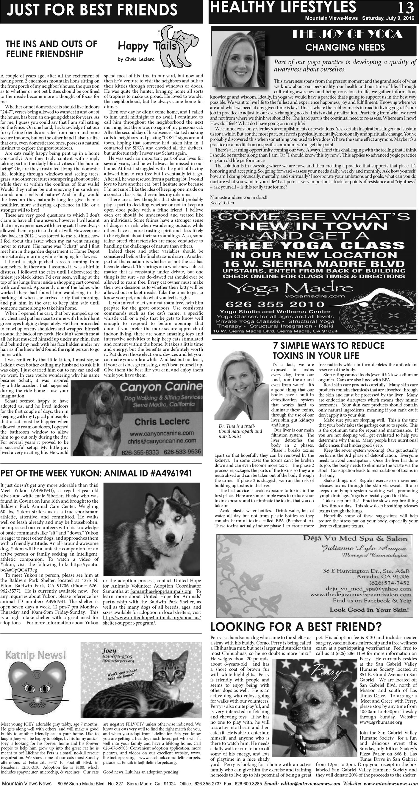 MVNews this week:  Page A:13