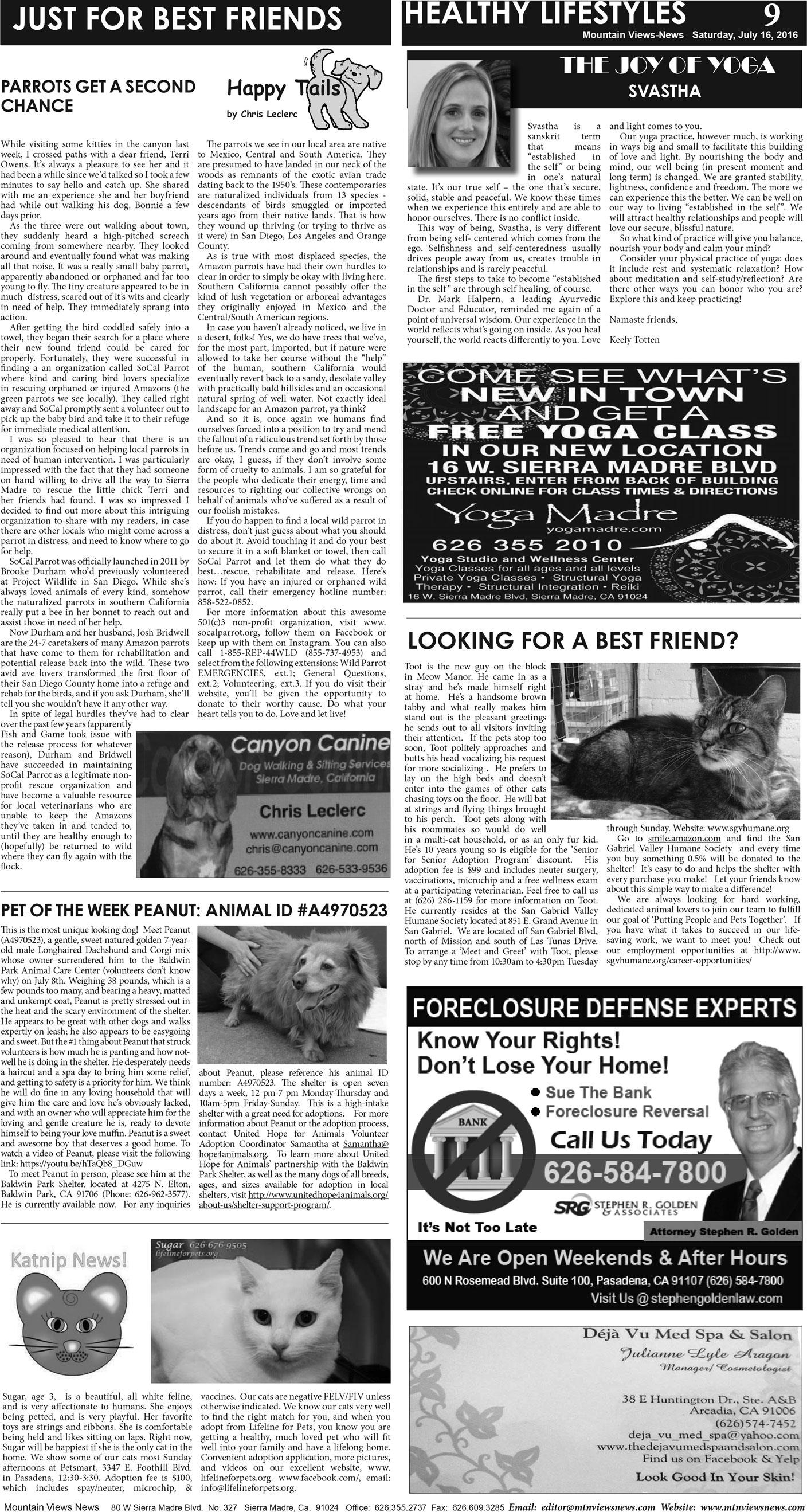 MVNews this week:  Page A:9