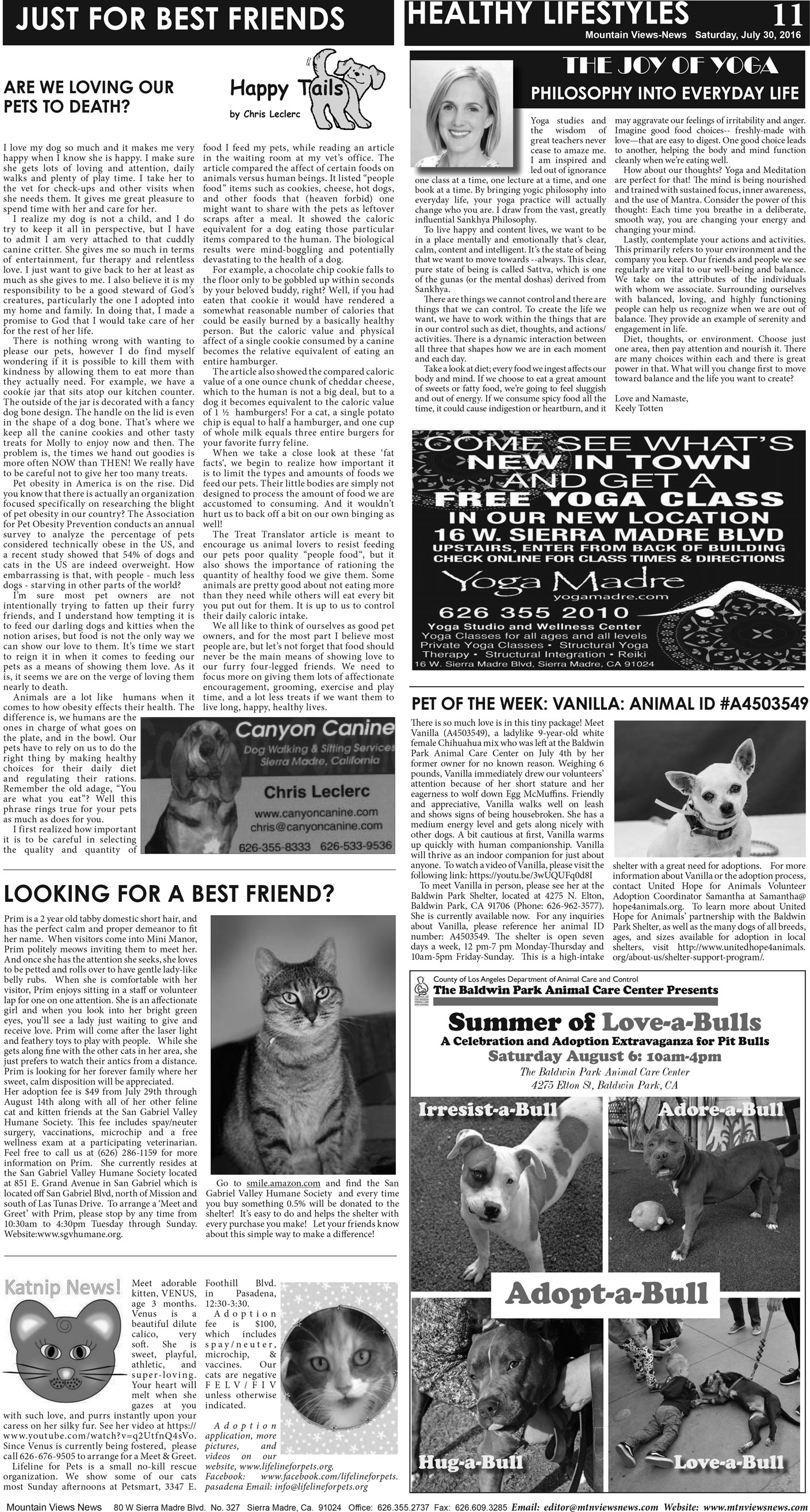 MVNews this week:  Page A:11