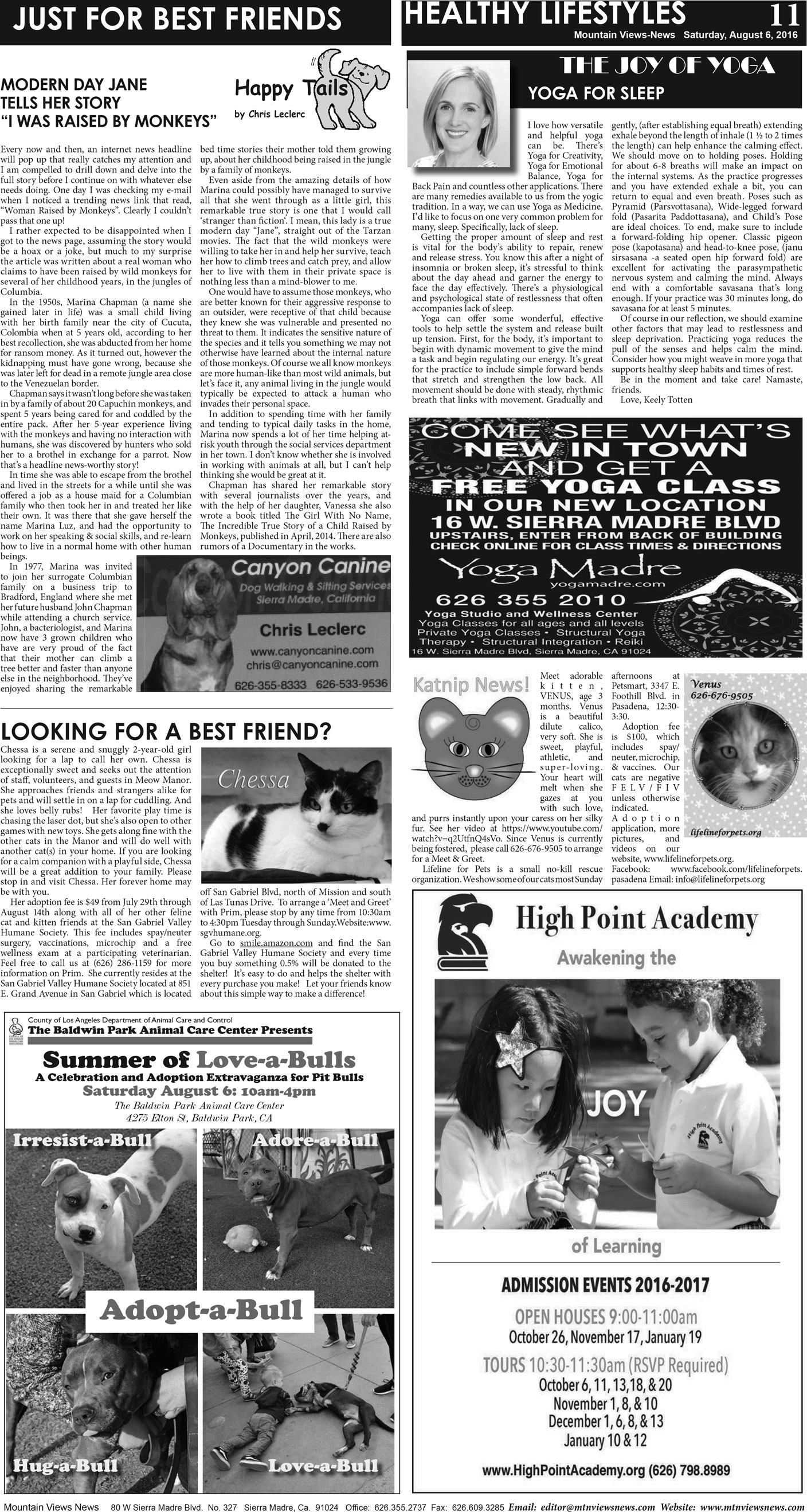 MVNews this week:  Page A:11