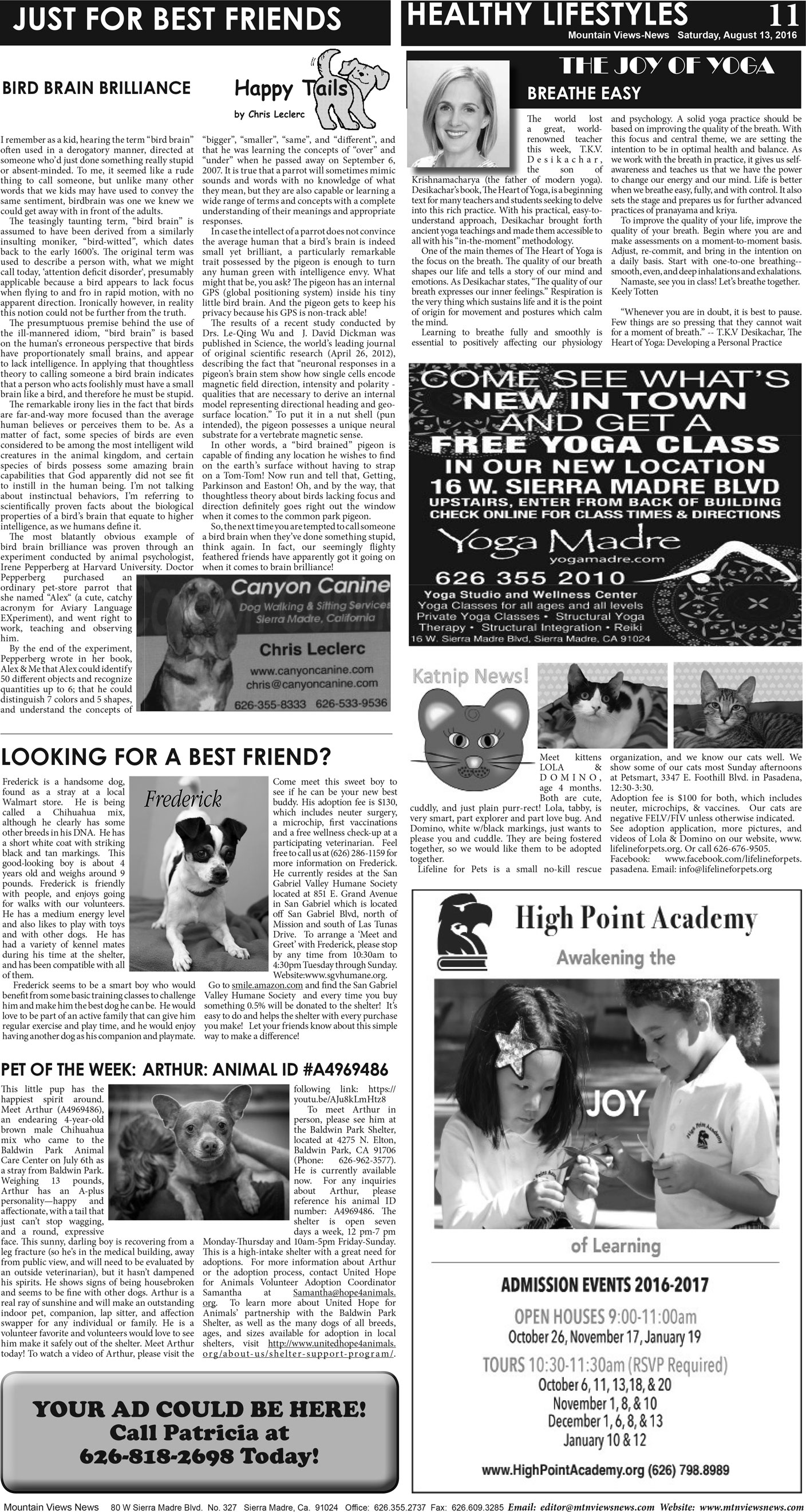 MVNews this week:  Page A:11
